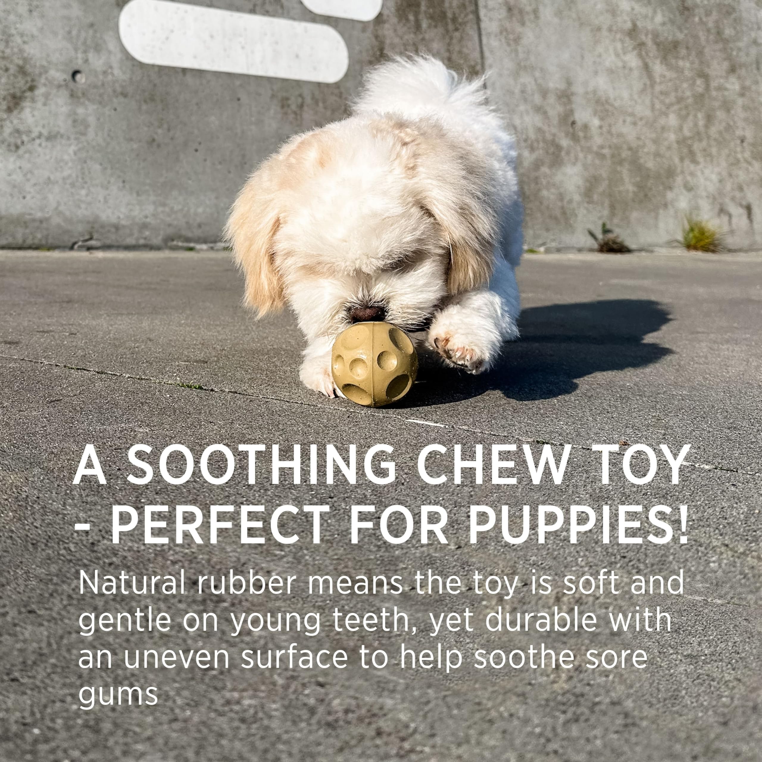 Hevea Moon 2-In-1 Dog Activation & Fetch Toy - Natural Rubber Dog Treat Ball - Active Rolling Toy For Sore Gum Relief (Hunter Gr