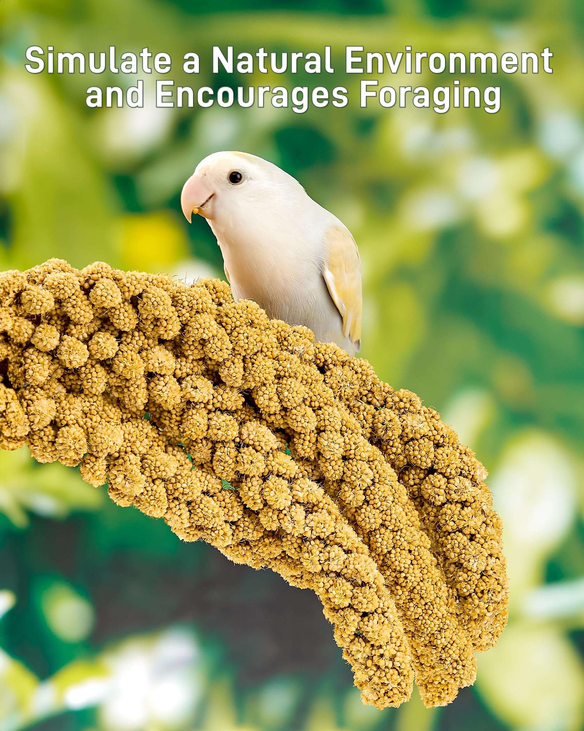 BUCATSTATE Spray Millet for Birds, Sun-Dried Healthy Millet Parakeet Treats for Parrots Cockatiel Lovebird Finch, GMO-Free Parak