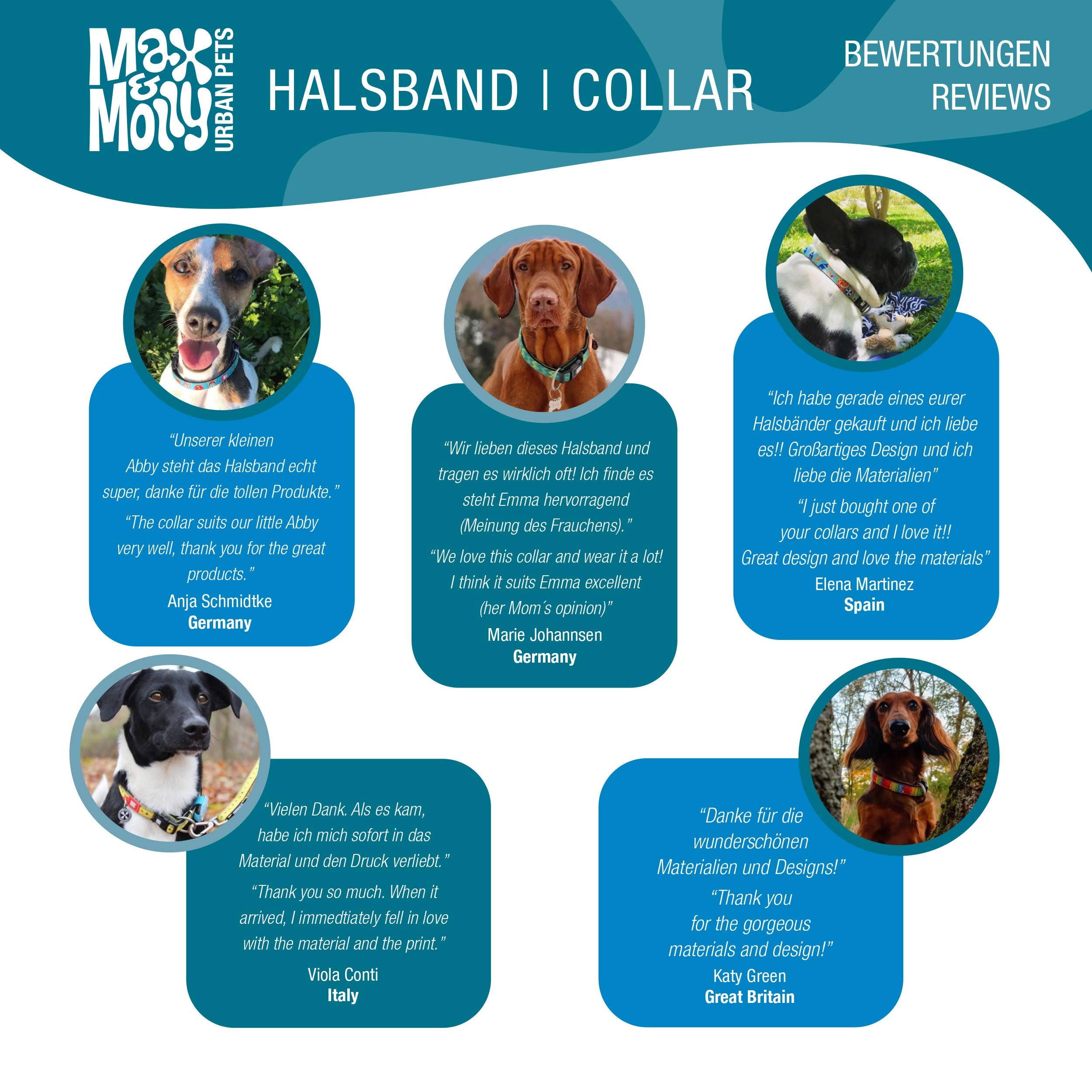 Max & Molly Ultra Comfortable Padded Neoprene Sport Dog Collar with Smart ID Tag, Jelly Bears XS