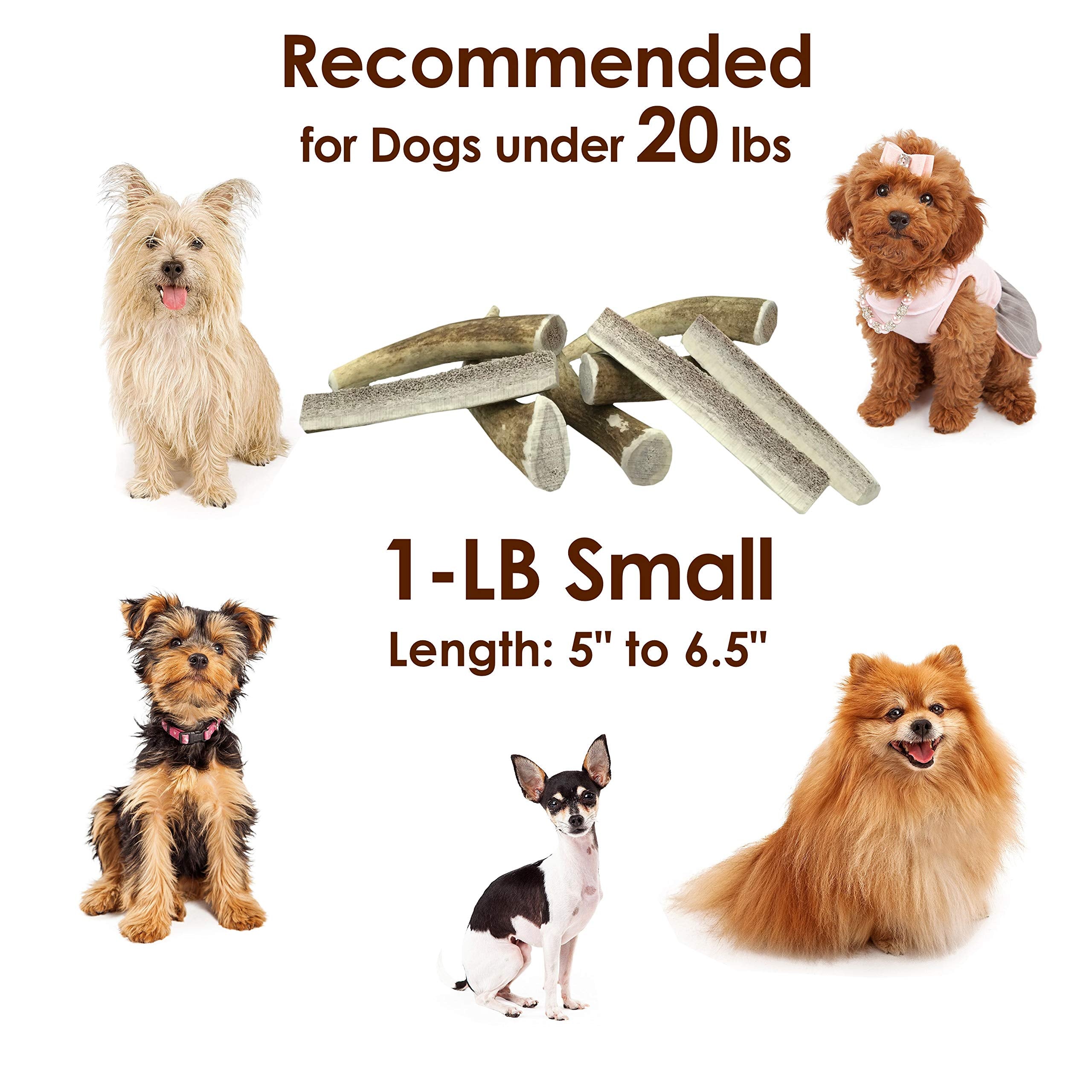 Deluxe Naturals Elk Antler Chews For Dogs | Naturally Shed Usa Collected Elk Antlers | All Natural A-Grade Premium Elk Antler Dog Chews | Product Of Usa, 2 Packs Of 1 Pound Small Cuts