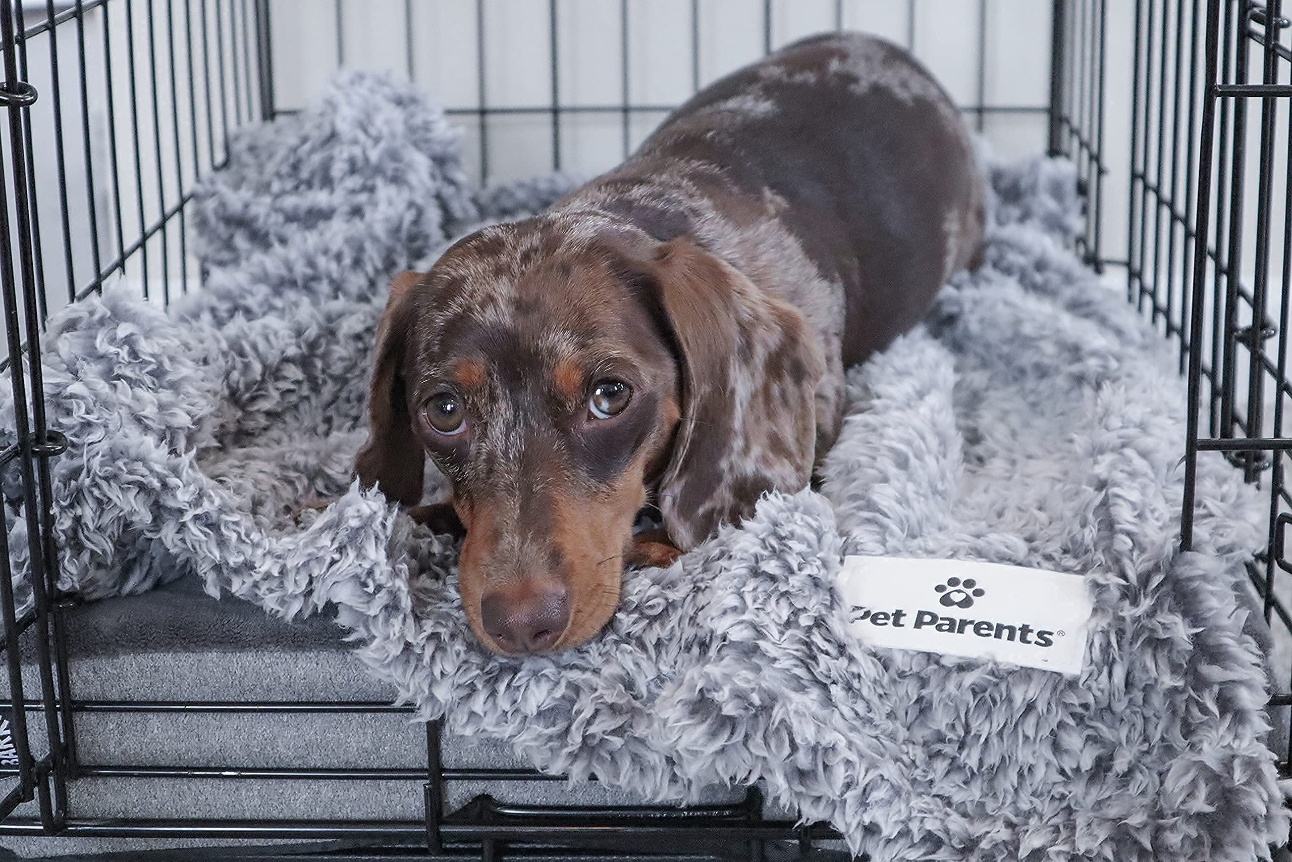 Pet Parents Water Resistant Pet Blanket, Slate, 24x32, Ideal for Small to Large Dogs, Couch Use