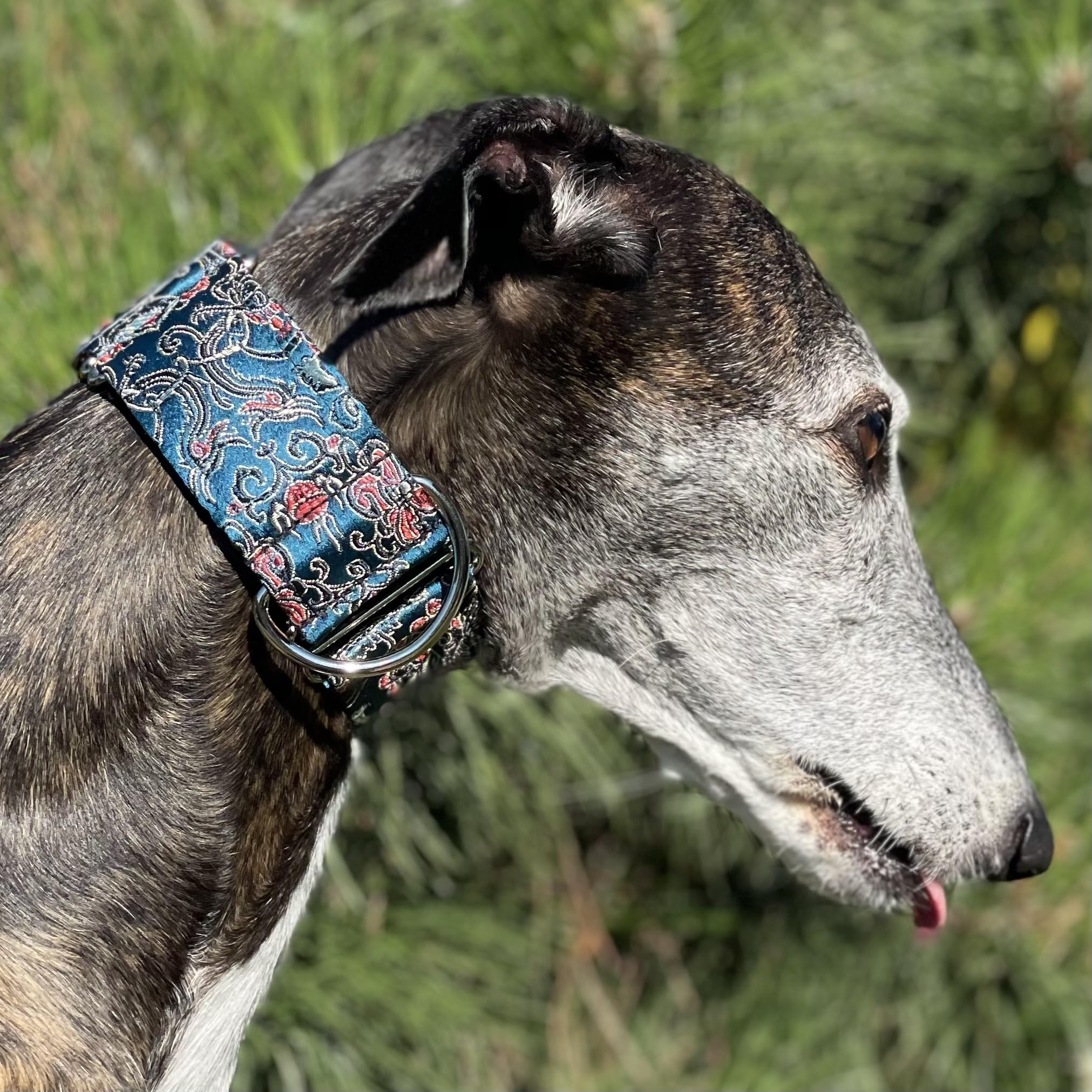 Extra Soft Martingale Dog Collar For Greyhound Saluki Whippet And Other Breeds With Similar Neck 2'' Wide (14''-18'')