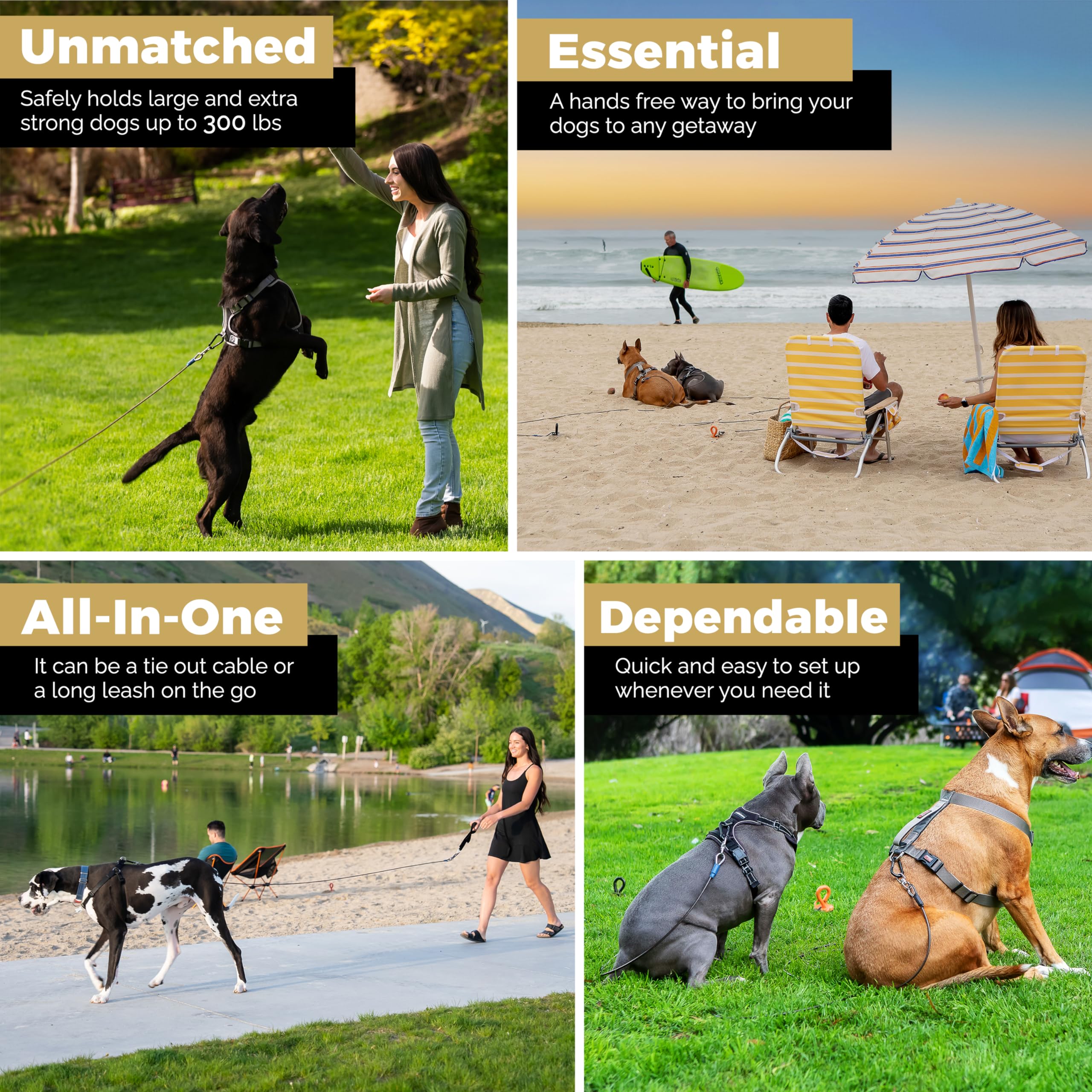 Royal Paw Dog Tie Out Cable - Tie Out Cable For Dogs (Up To 300 Lbs) - Use Dog Tie-Outs & Stakes For Outside - Best Heavy Duty D