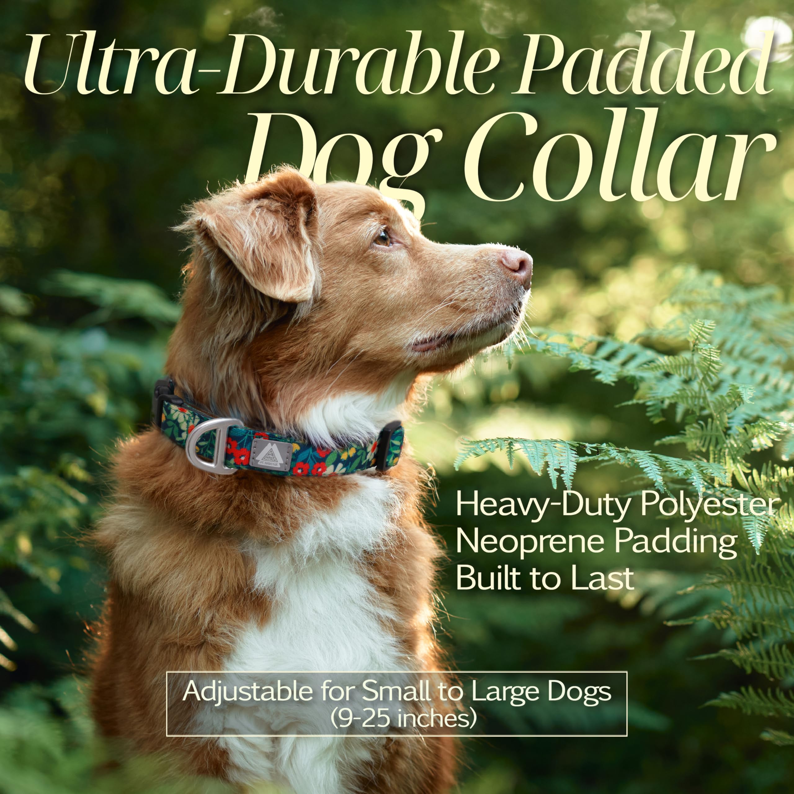 Jc House Medium Dog Collar With Reflective Logo And Soft Padded Neoprene,Floral Print Design, Adjustable,Lightweight & Durable,