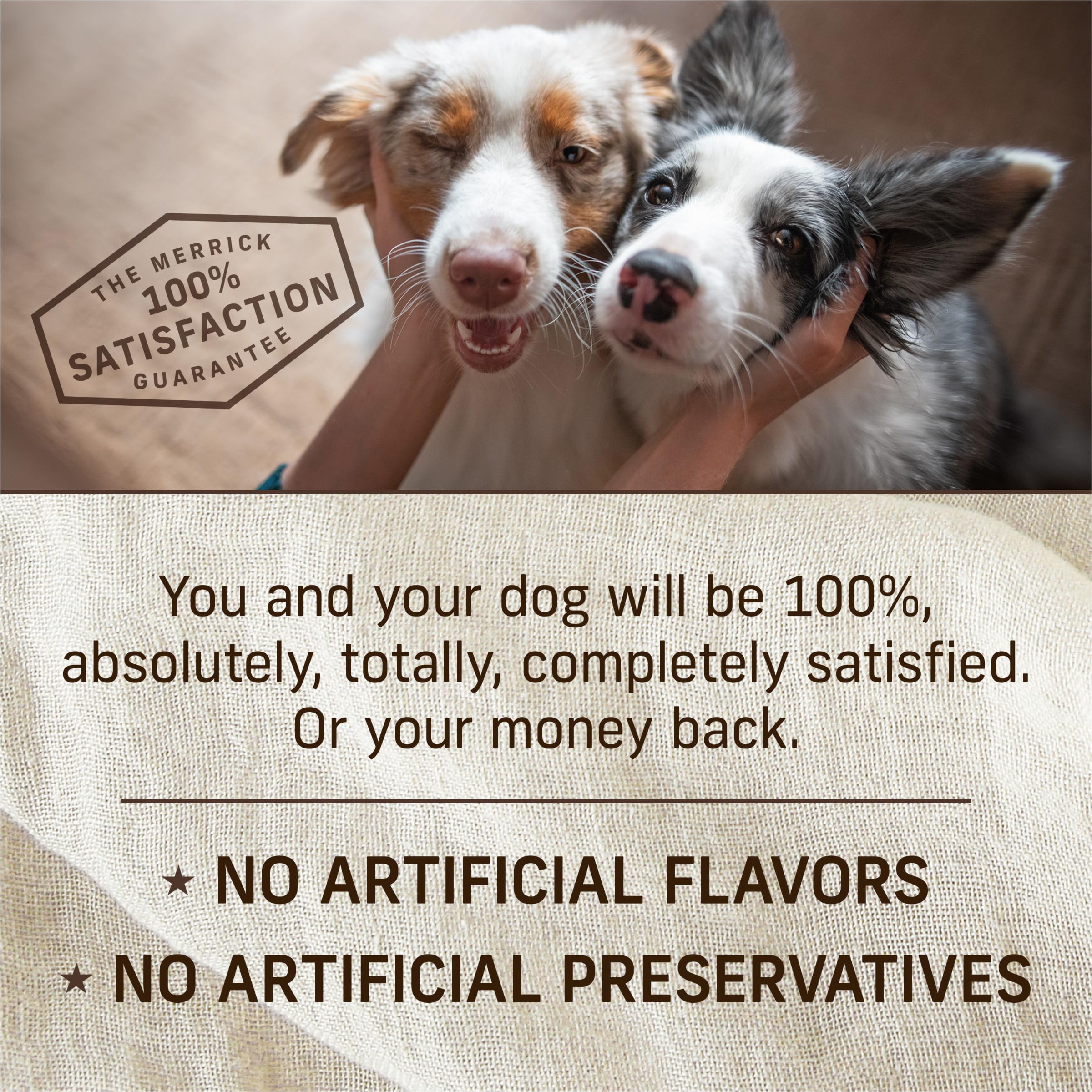 Merrick Grain Free Wet Puppy Food, Chicken Recipe, 12.7 oz (Pack of 12), Gluten Free Canned Dog Food
