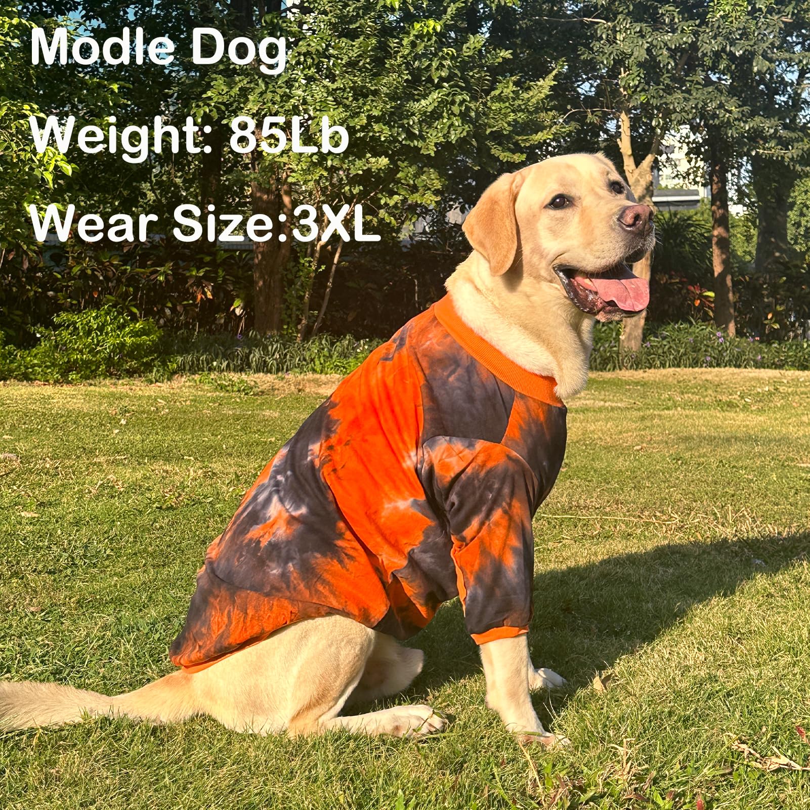 PriPre Dog Cotton Colorful Black Orange T-Shirts Soft and Stretchy Dog Shirt Pajamas Pets Clothes for Large Dogs(XL Black)