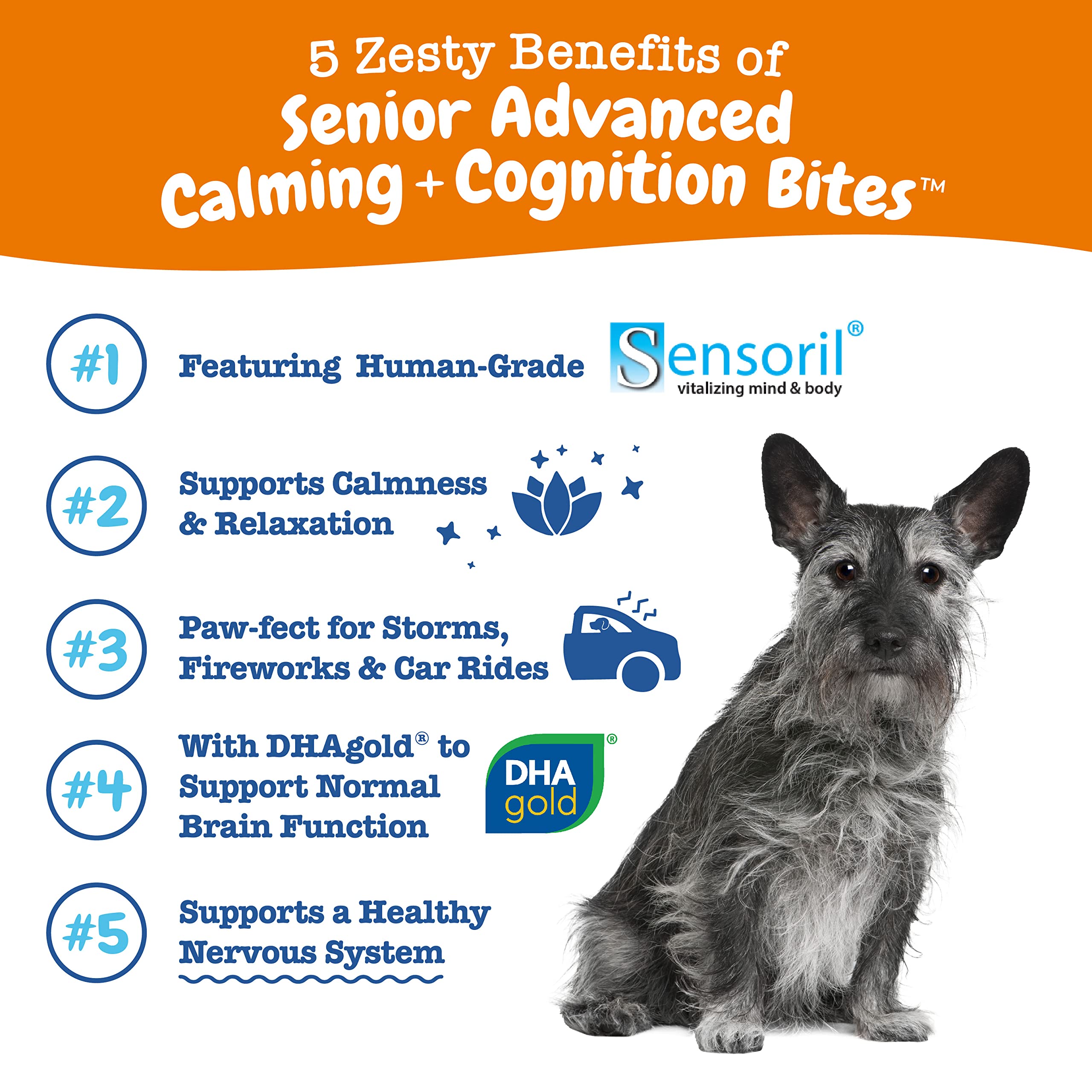 Zesty Paws Senior Advanced Calming Soft Chews - Dog Brain Health & Nervous System Support, 90 Count, with Ashwagandha, DHA & Melatonin