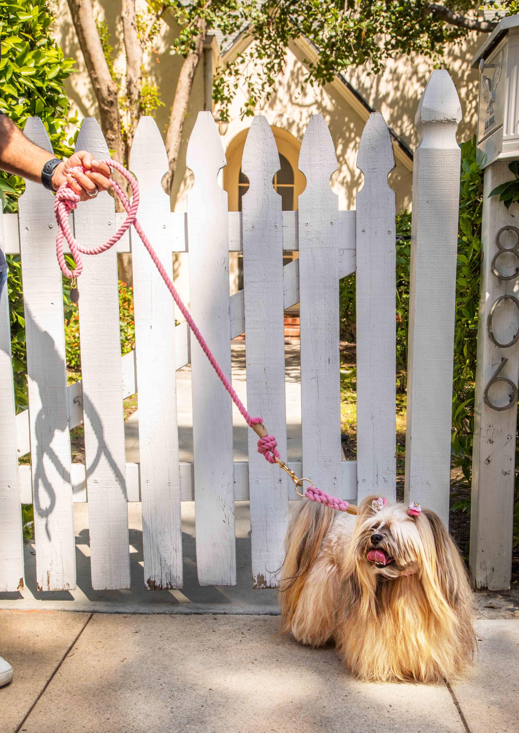 Glow Pups Dog Collar, Ombre Braided Rope Slip Collar For Dogs, Handmade, Durable, Adjustable Fit, Stylish Rope Design, Gold-Colo