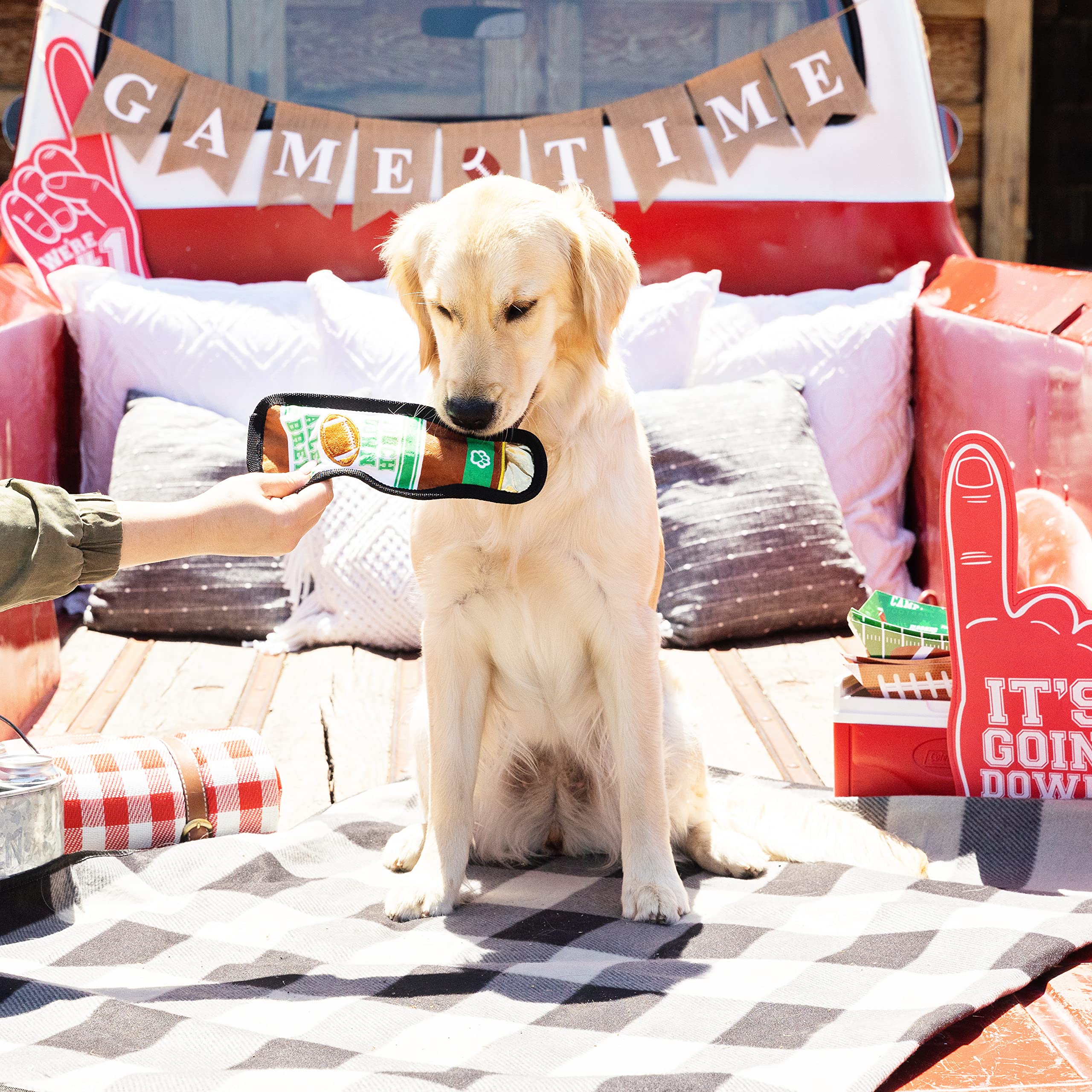 Fringe Studio Plush Dog Toy, Durable, Tailgates And Touchdowns, Pet Shop Collection (729085)