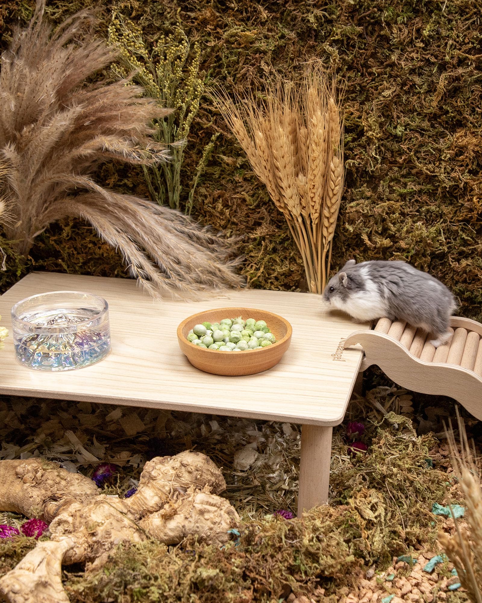 Niteangel Hamster Snack & Treats Toy - Small Animal Natural Treat for Dwarf Syrian Robo Hamsters Gerbils Mice Lemmings Degus or