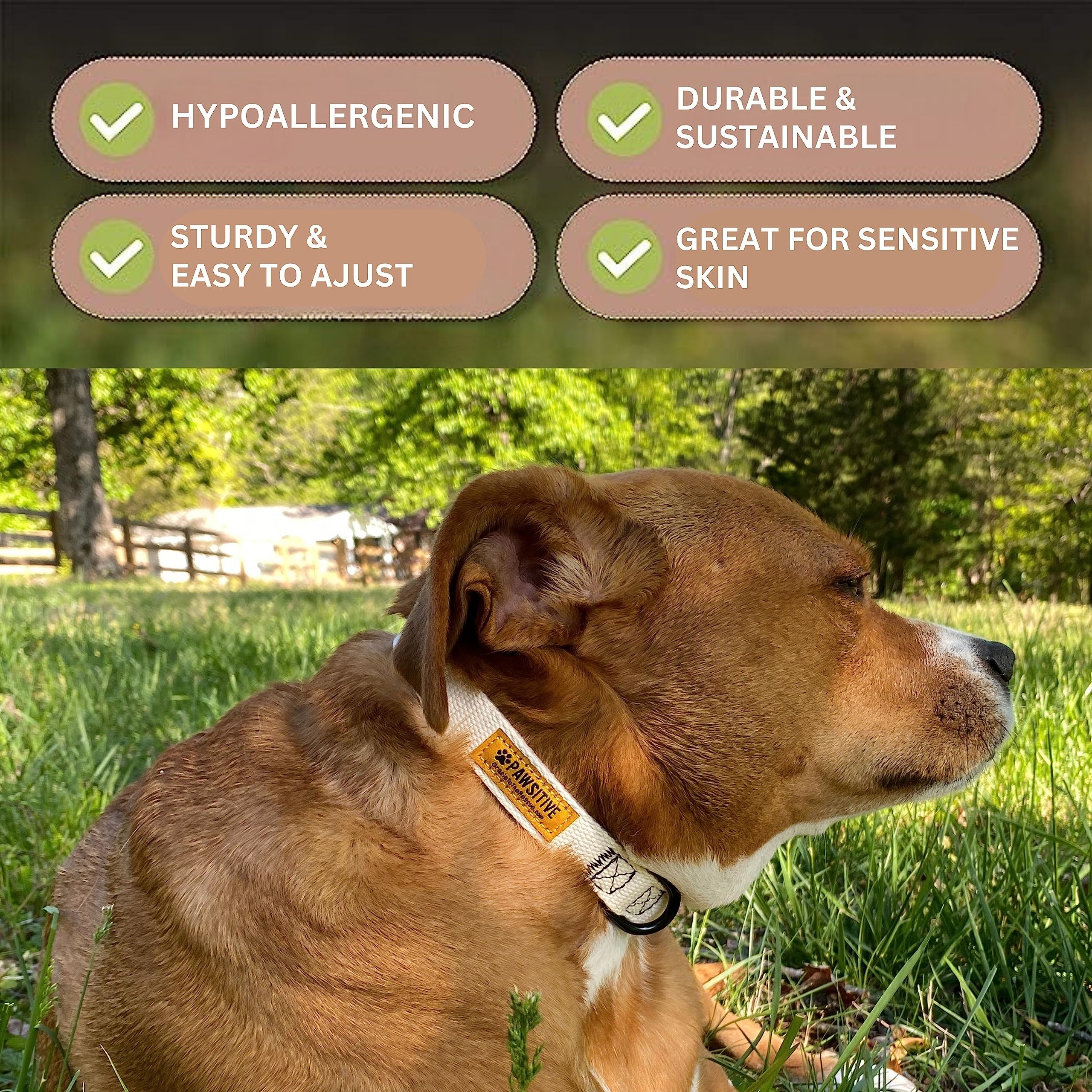 Gracie To The Rescue Pawsitive Hemp Dog Collar - Medium Yellow - Super Soft Hypoallergenic Lining for Small, Medium, and Large Dogs