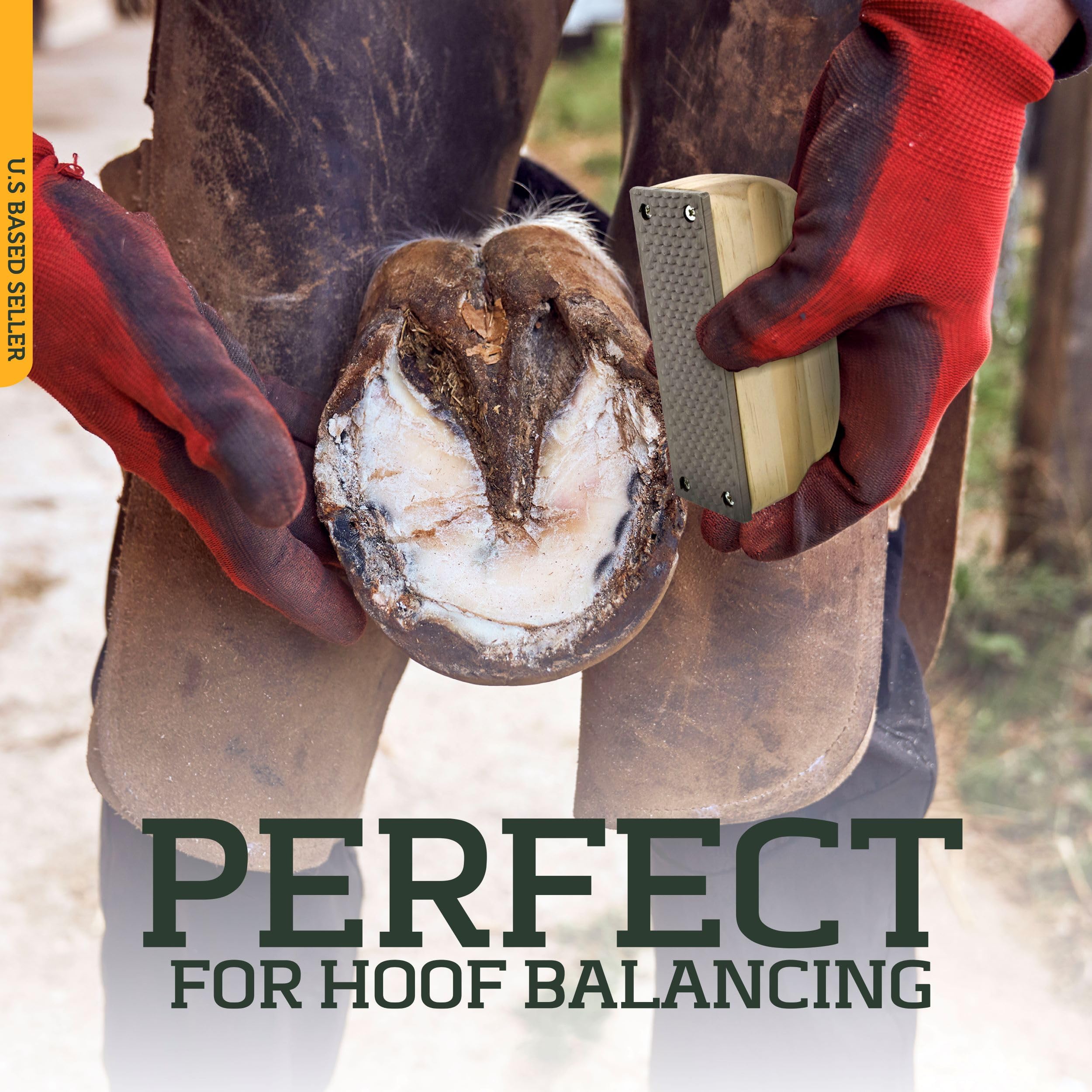 Rural365 Farrier Rasp With Wooden Handle, Mini Hoof Rasp File – Farrier Supplies For Miniature Horse, Pigs, Goats