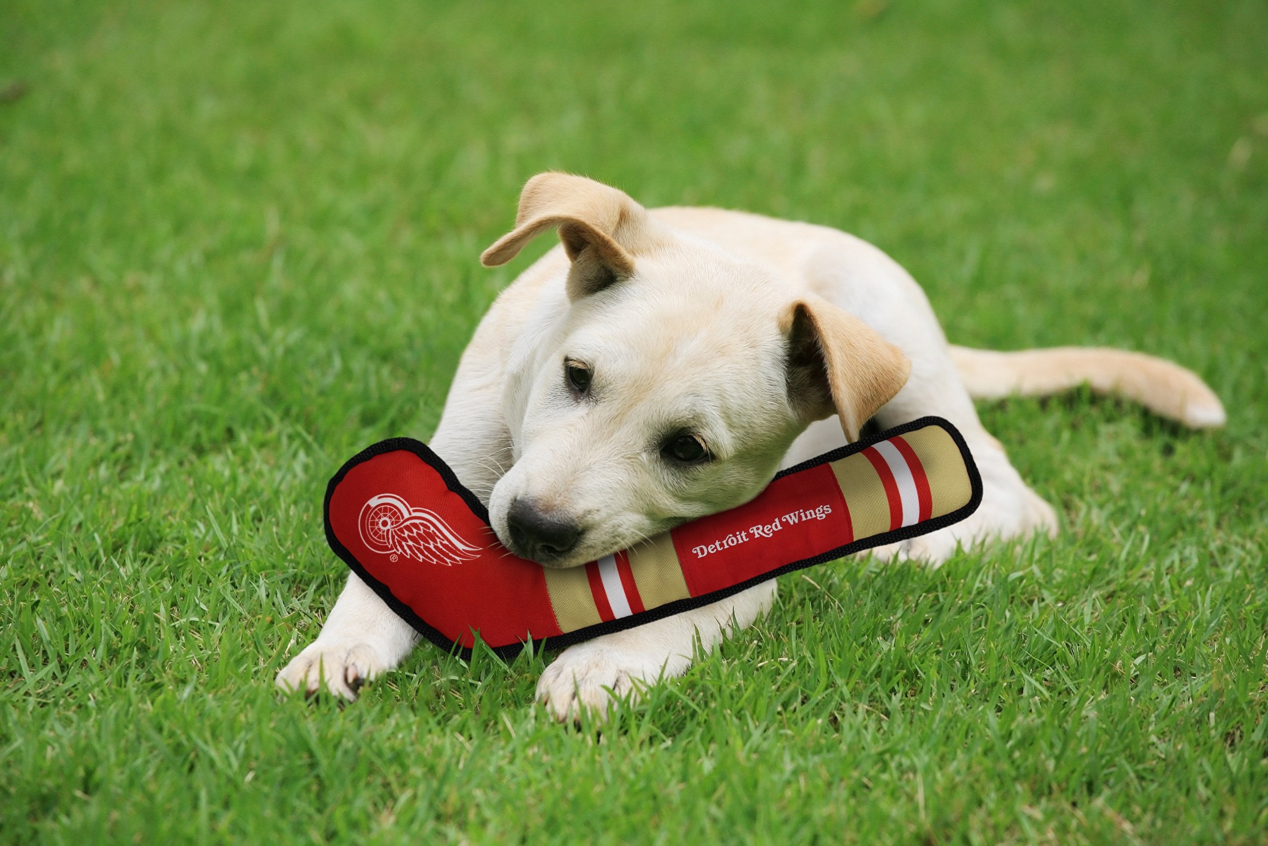 Pets First Nhl Detroit Red Wings Stick Toy For Dogs & Cats. Play Hockey With Your Pet With This Licensed Dog Tough Toy Reward!