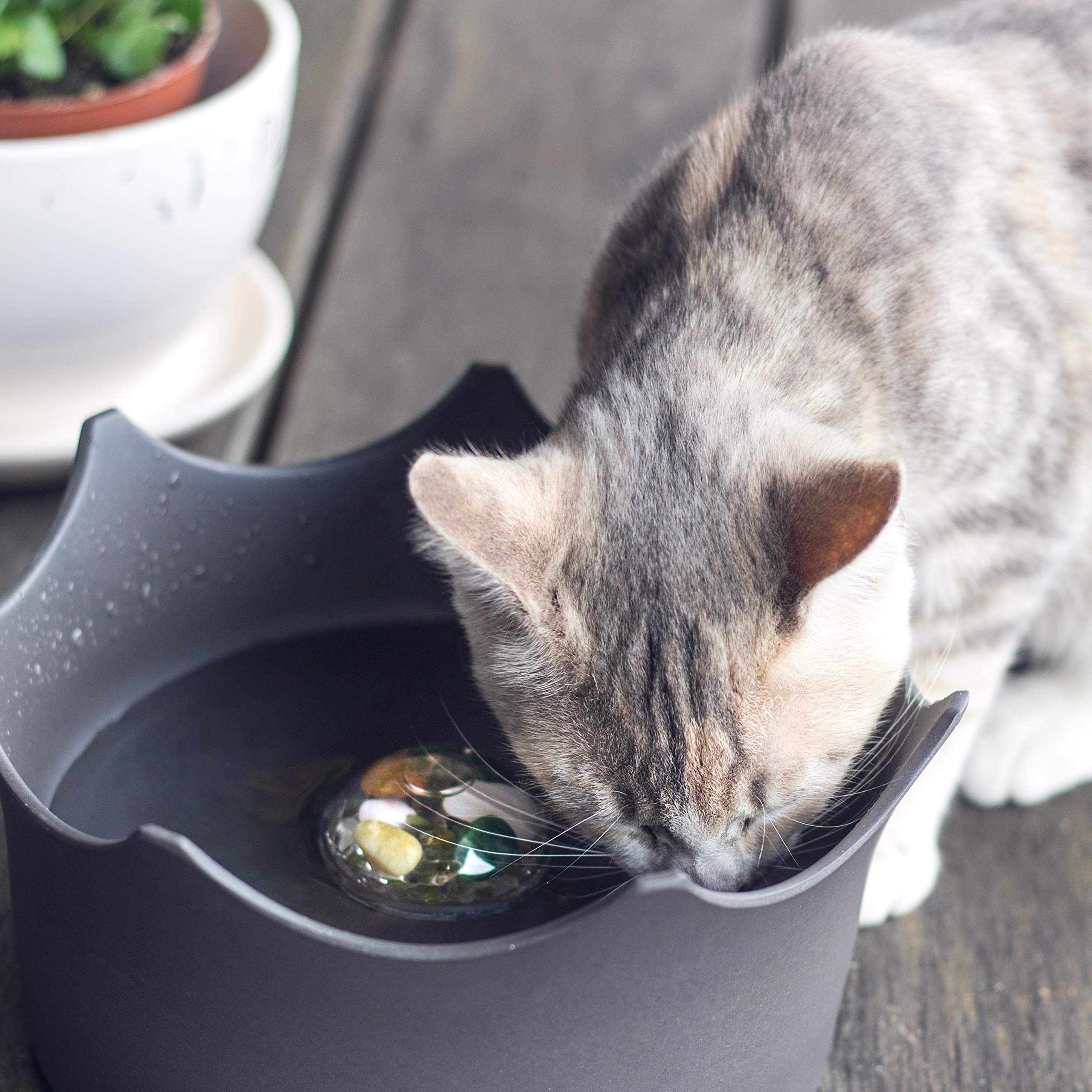 Crownjuwel By Vitajuwel Bowl | Crystal Water For Cats & Dogs | Lava Black