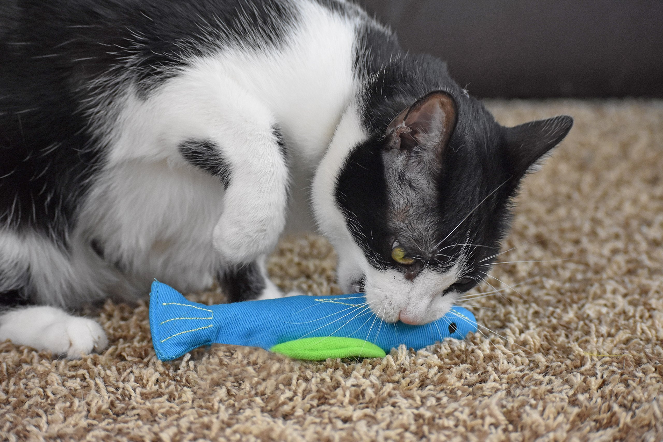 Our Pets 100-Percent North American Catnip Filled Fish Cat Toy (Interactive Cat Chew Toy), Annette (1050011546) -Like New