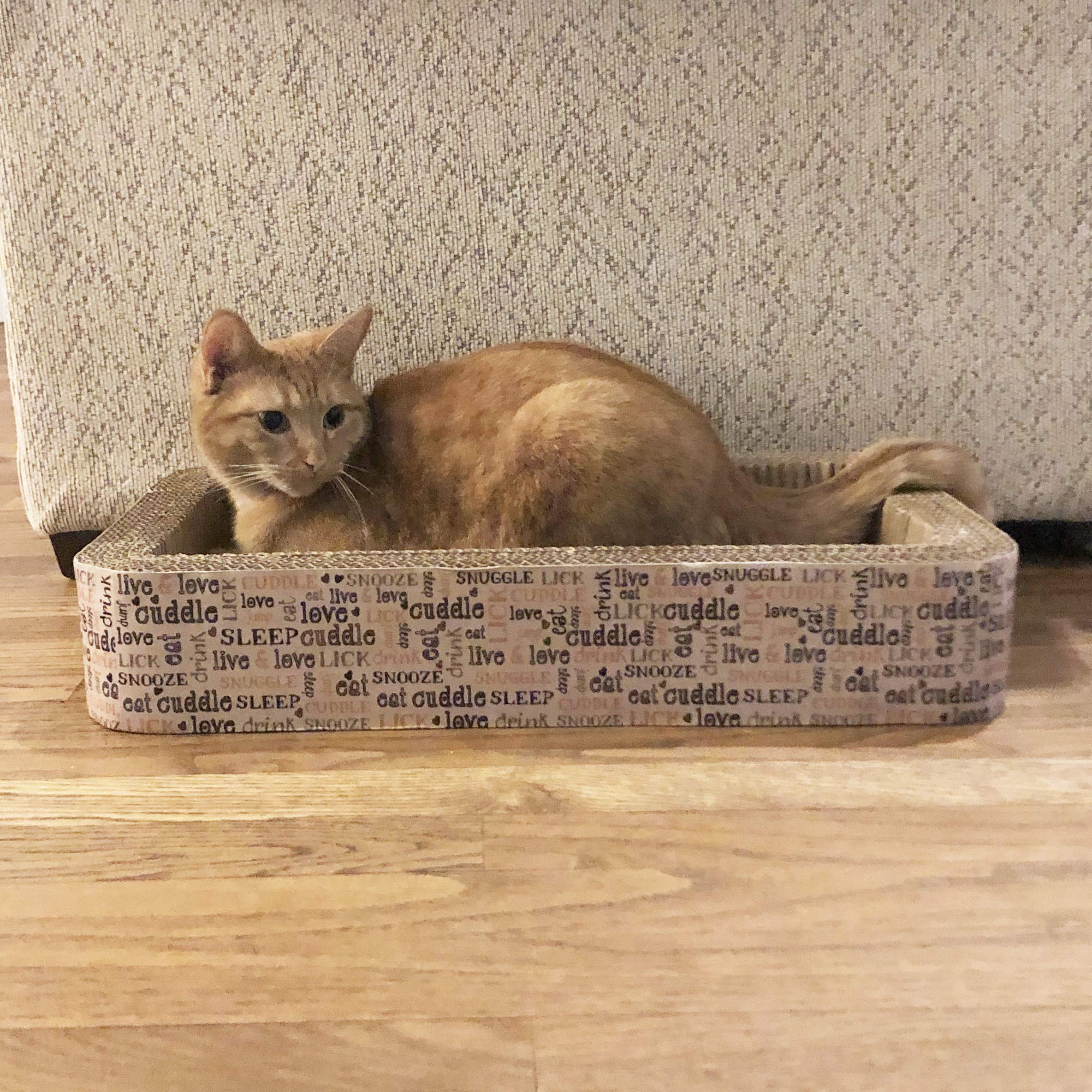 Petrageous 13081 Rectangular Corrugated Cat Lounge Scratcher 20-Inch Long 12-Inch Wide 3.5-Inch Tall With Cat Nip For Cats, Mult