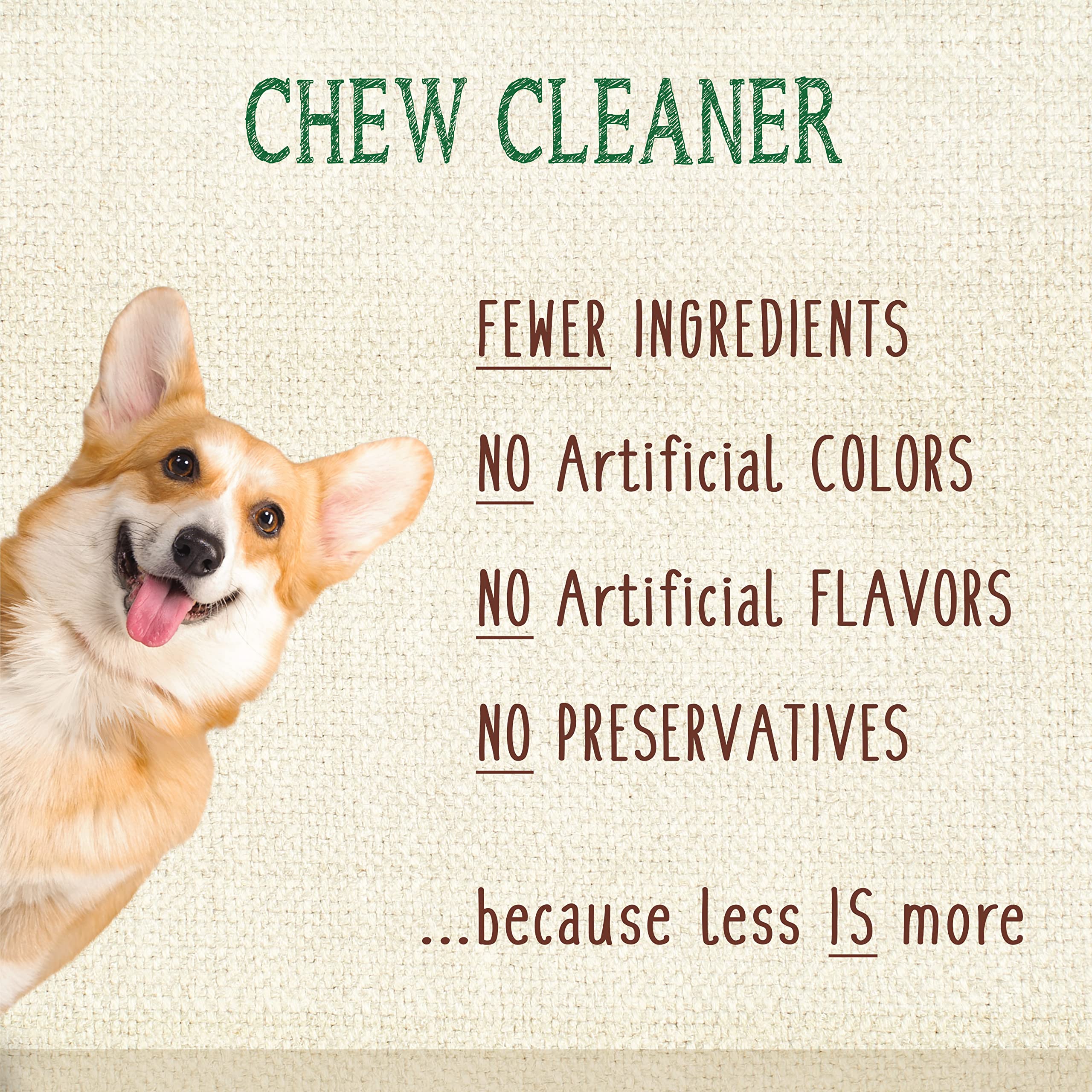 Nylabone Nutri Dent Natural Dental Fresh Breath Flavored Chew Treats Mini (78 Count)