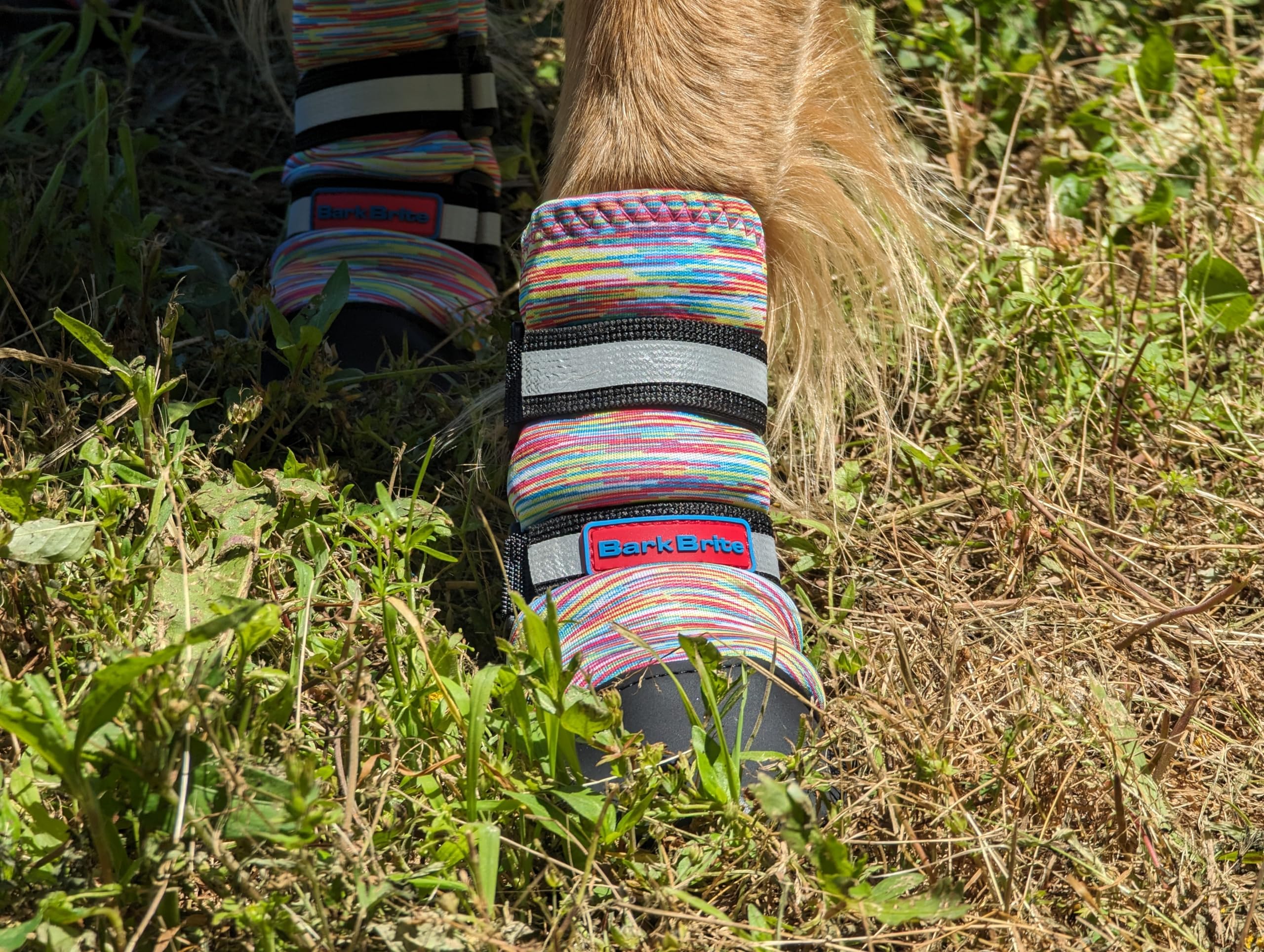 All Weather Neoprene Paw Protector Dog Boots With Reflective Straps In 5 Sizes! (Multicolor Xxl)