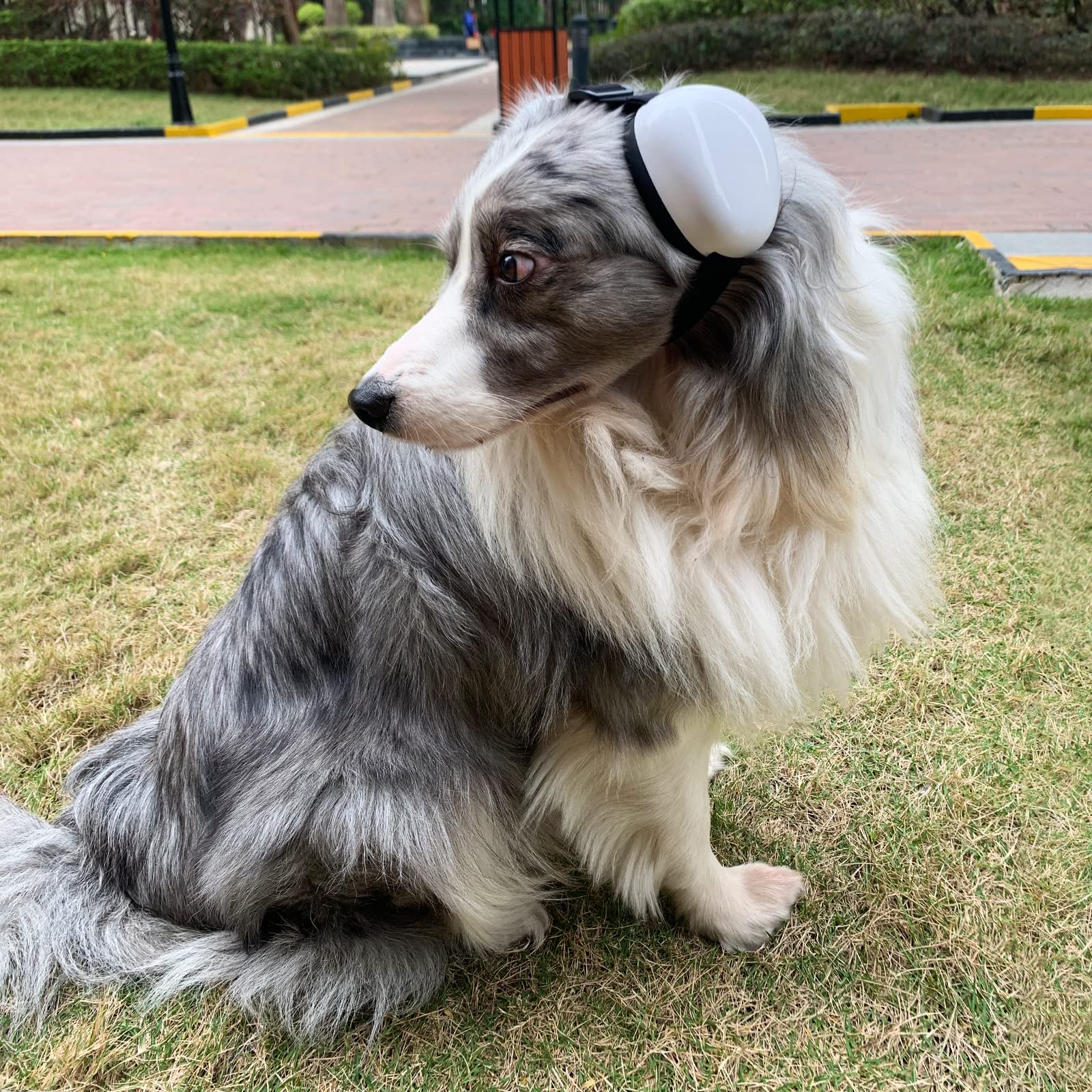 Deryep Dog Earmuffs For Hearing Protection 29Db Nrr Ear Muffs Noise Protection (Large, White)