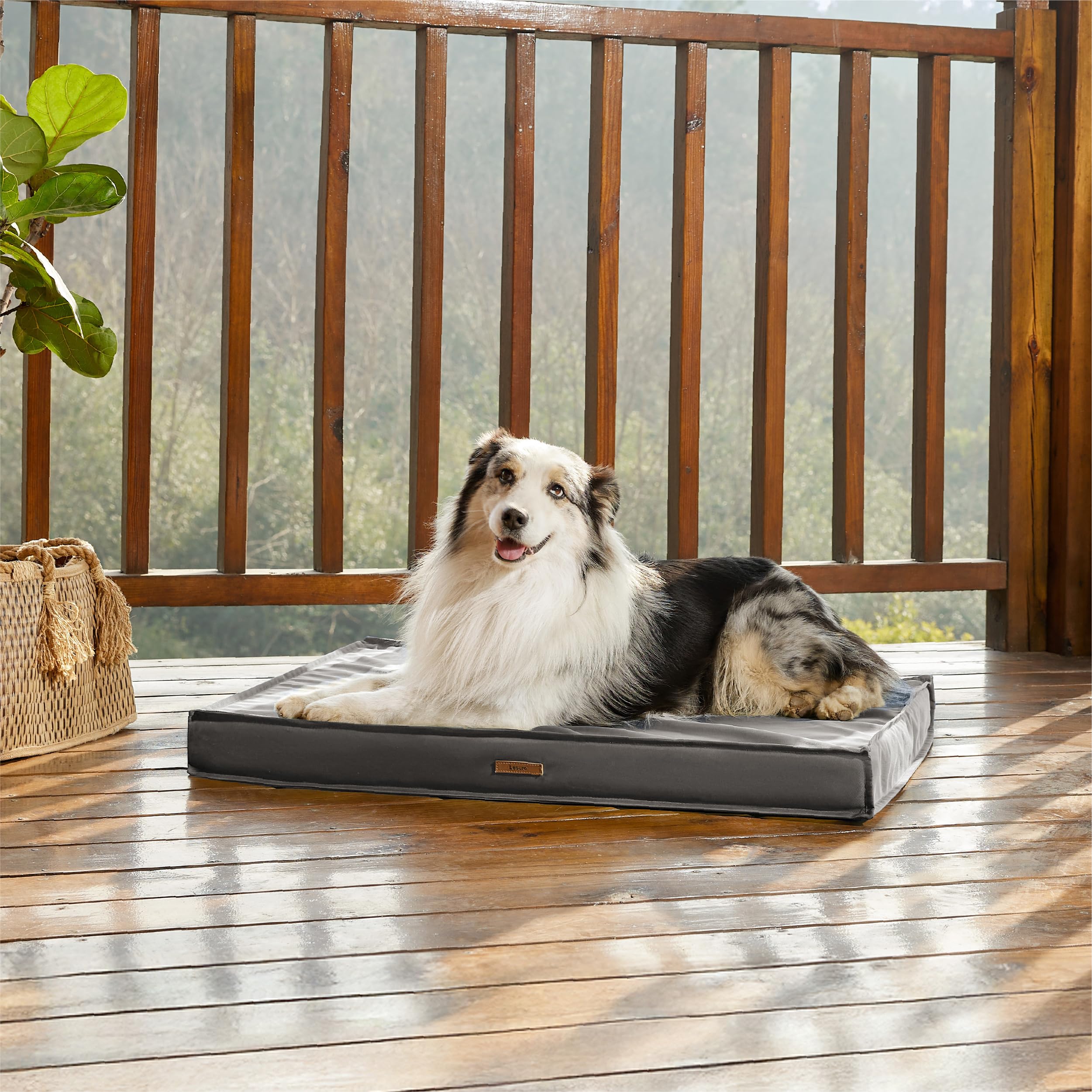 Lesure Outdoor Waterproof Dog Bed For Large Dogs, Orthopedic Egg Crate Foam Pet Bed With Oxford Fabric Surface And Removable And
