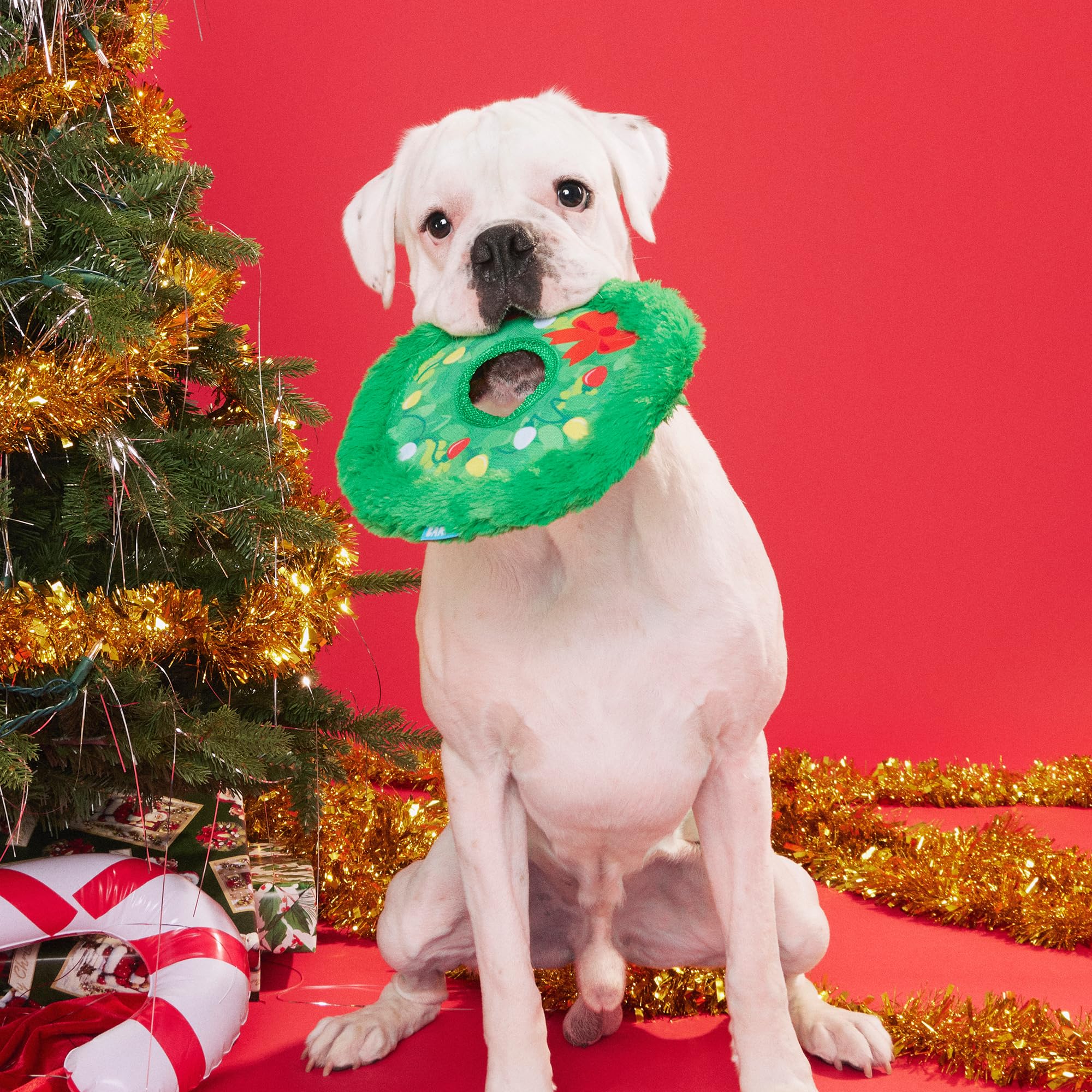 Barkbox Get Lit Wreath Dog Toy - Holiday Fetch & Fling Disc with T-Shirt Rope, Crazy Crinkle & Long Plush Hair - Durable Holiday