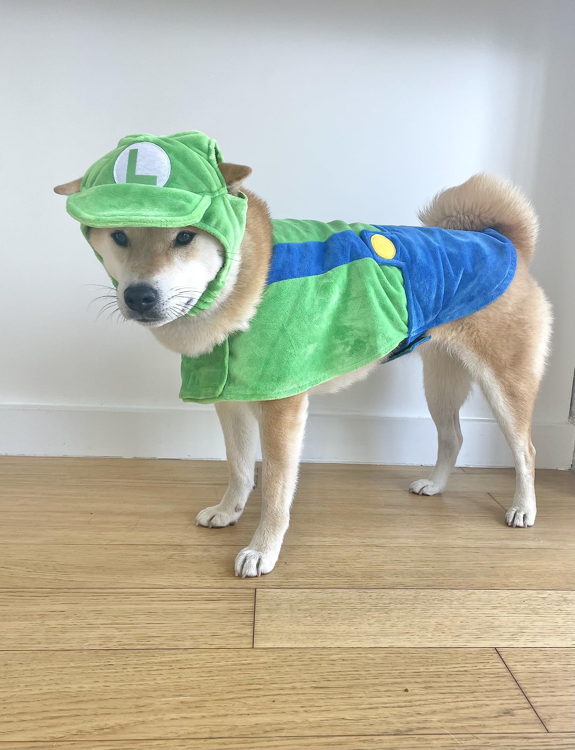 Comfycamper Hat And Suspenders Dog Costume - X Large Medium Small Lab Star Space Cosplay Halloween Costumes, Small, Green