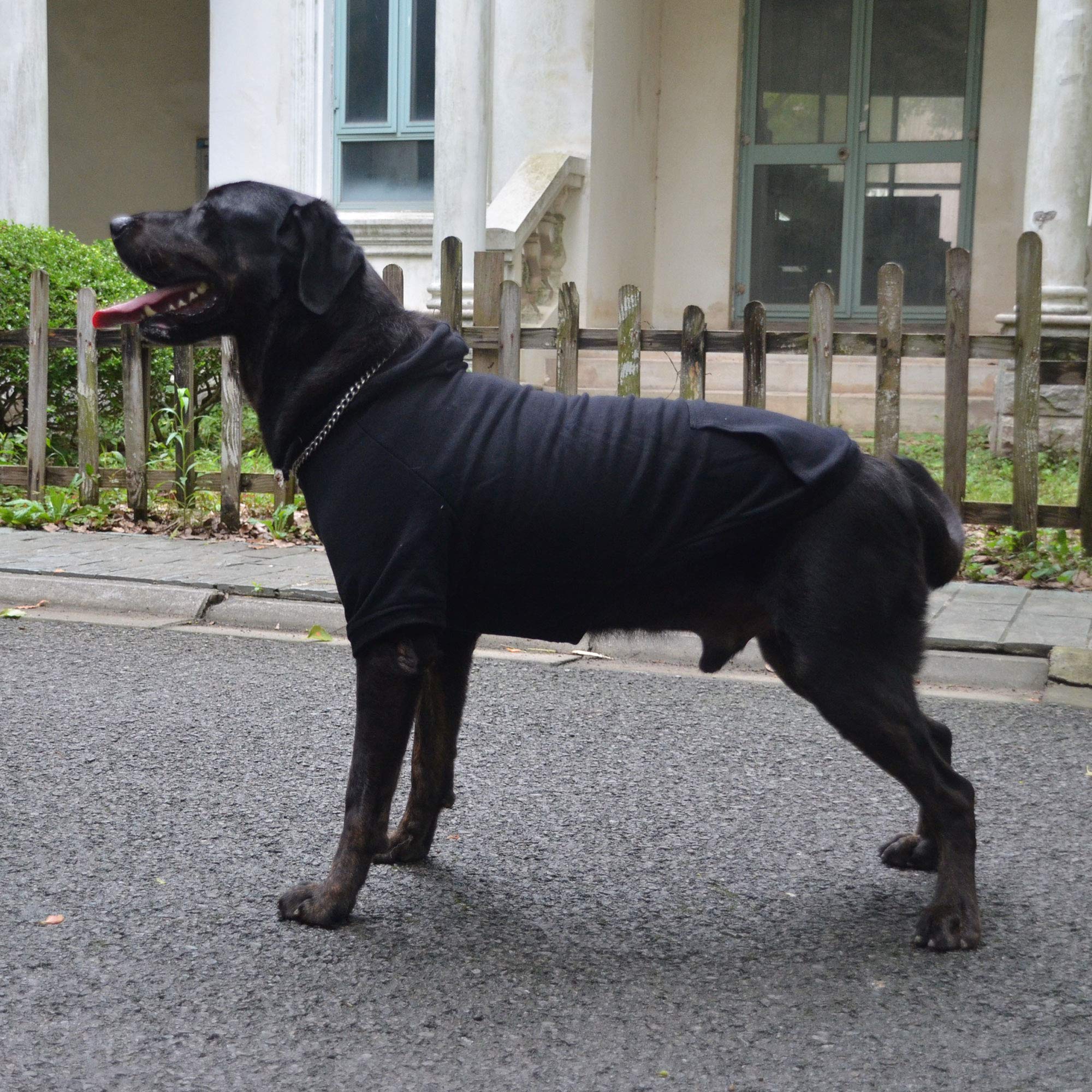 Lovelonglong Pet Clothing Clothes Dog Coat Hoodies Winter Autumn Sweatshirt For Small Middle Large Size Dogs 11 Colors 100% Cotton 2018 New (S, Sky-Blue)