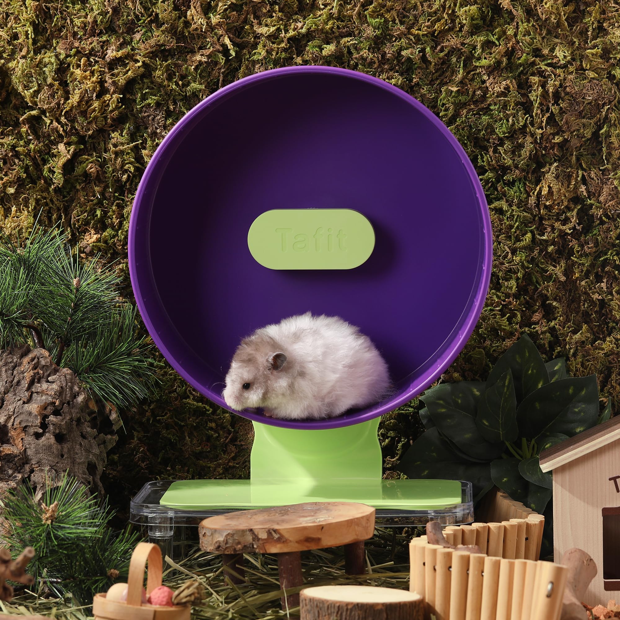 Silent Hamster Wheel 8.7 Inch Dual-Bearings Small Animals Quiet Running Exercise Wheels, Height Adjustable for Dwarf Hamsters, G