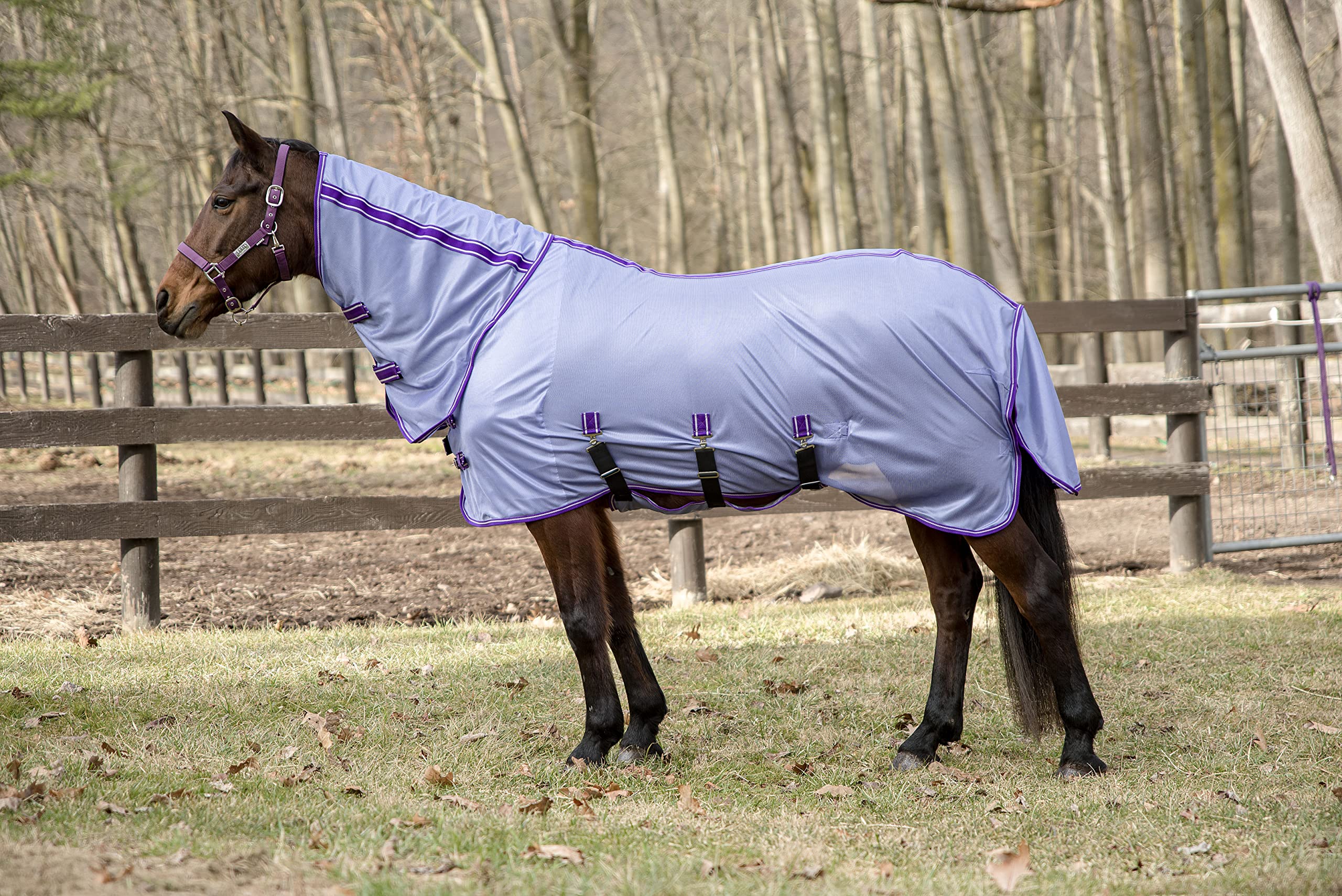 Tuffrider Comfy Plus Combo Fly Sheet 81 Deep Purpl