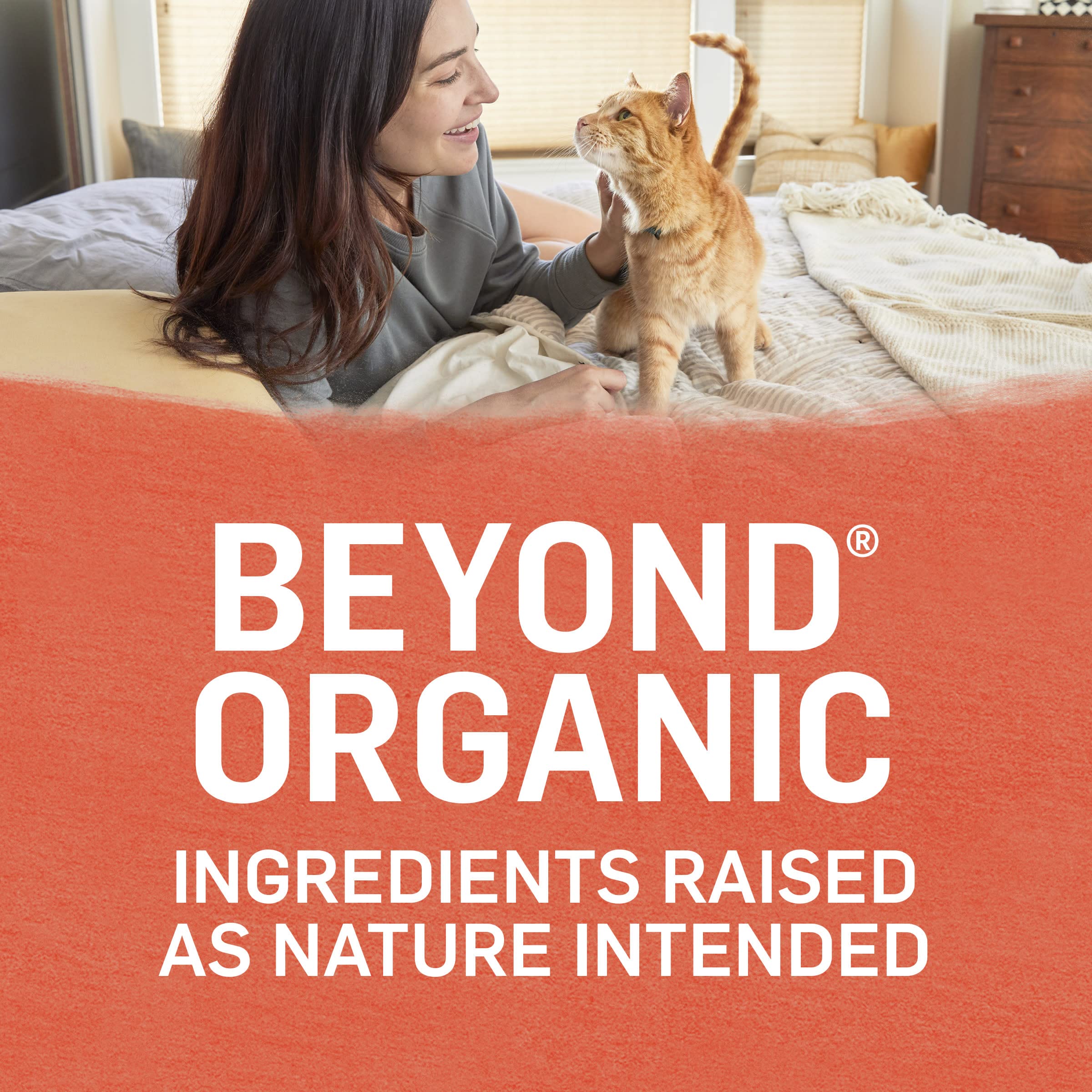 Purina Beyond Organic Wet Cat Food Pate, Organic Chicken & Sweet Potato Adult Recipe - (Pack of 12) 3 oz. Cans