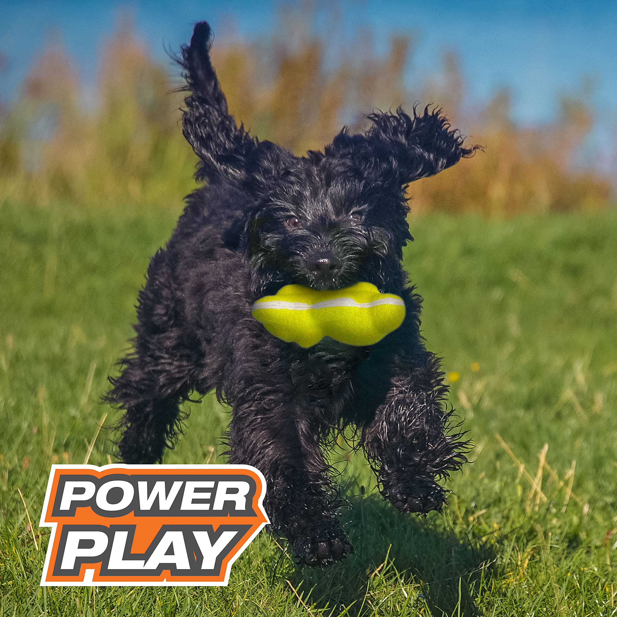 Nylabone Power Play Tennis Ball Teddy Bear Gripz Felt Rubber Fetch Toy, Squeaky Toys For Dogs, Medium (1 Count)