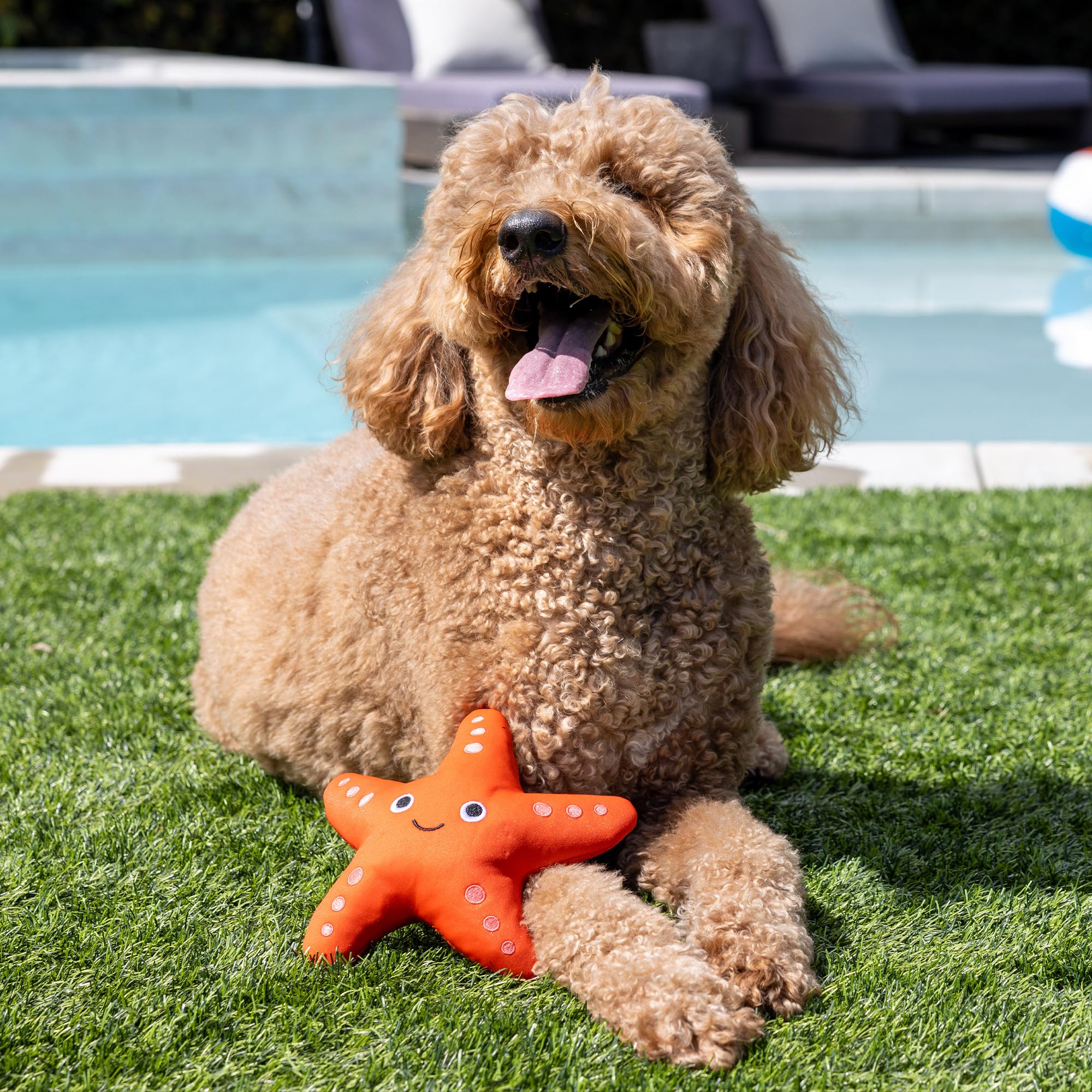 Fringe Studio ''Shelly Floating Dog Toys, Pet Shop Collection (640004)