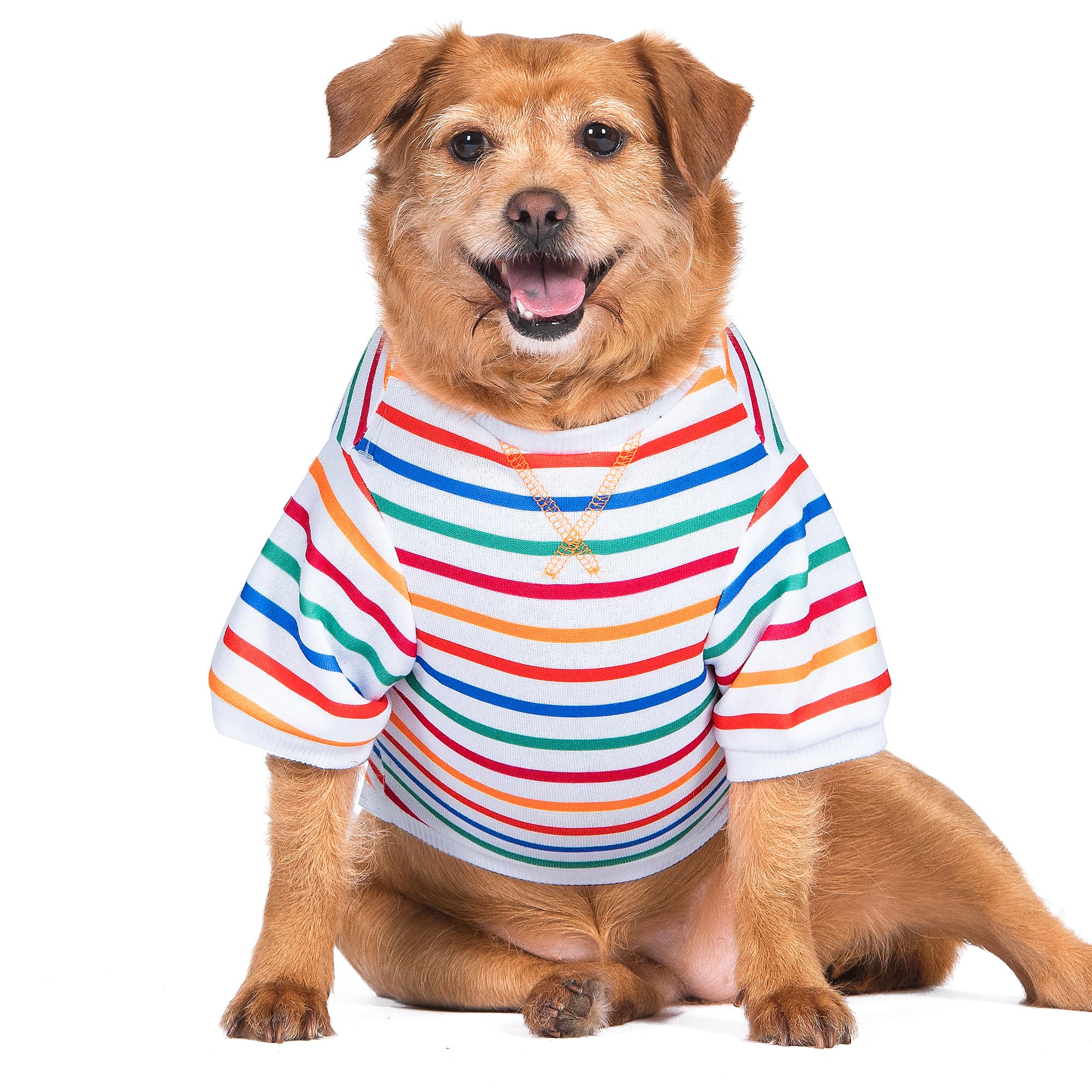 The Dodo Striped Crewneck Sweatshirt for Dogs, Medium, Everyday Apparel, Cute Dog Tee