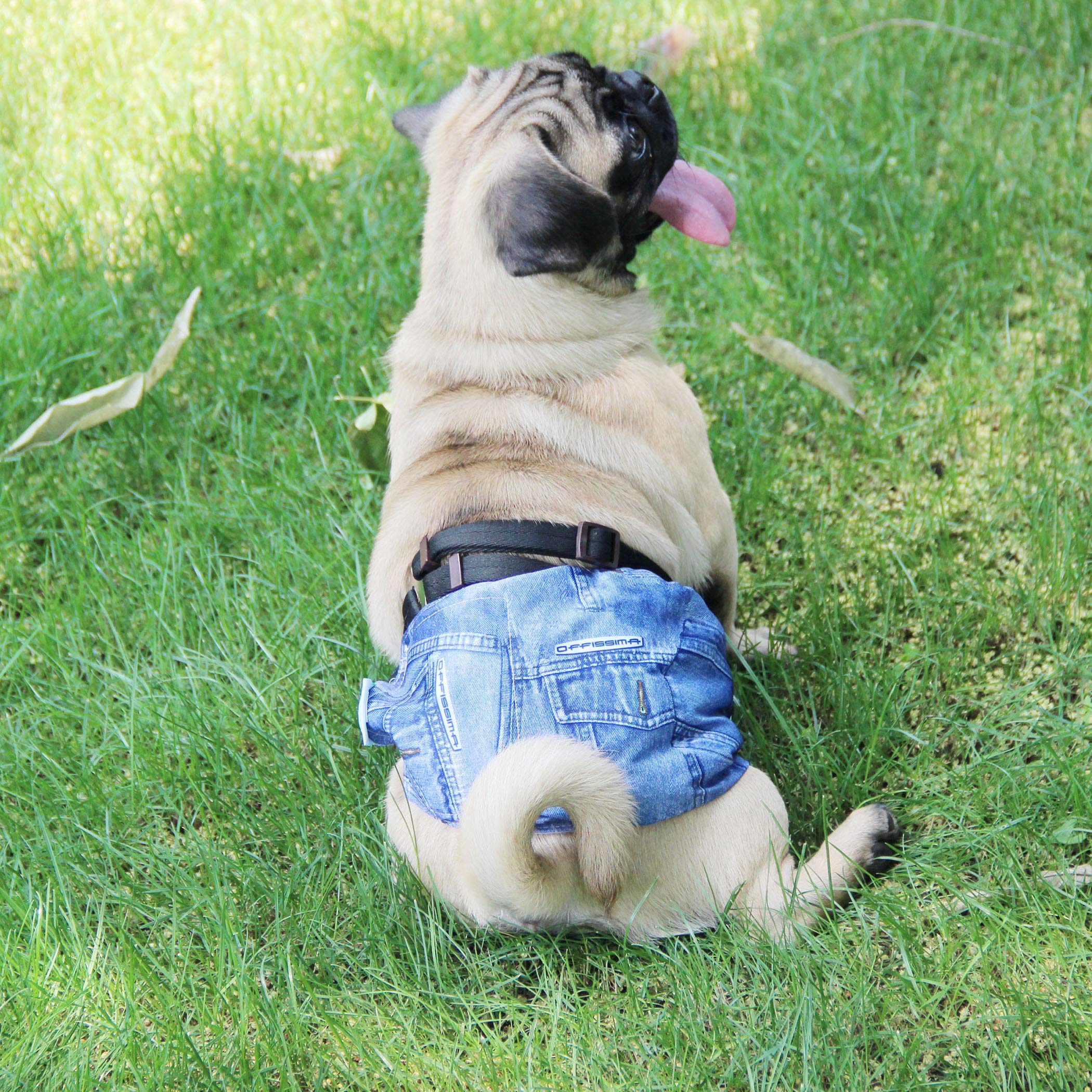 Wegreeco Jeans Washable Male Dog Diapers (Pack Of 3) - Washable Male Dog Belly Wrap (X-Small - 9'- 10.5' Waist)