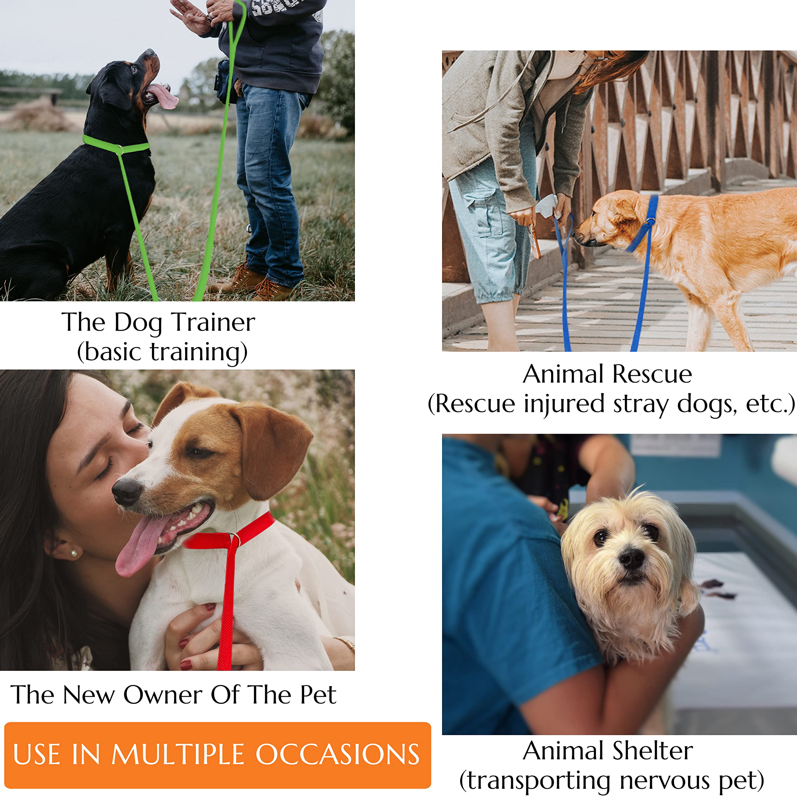 Covgopi Slip Lead Dog Leash, 6 Pcs Short Pet Leashes Slip Leads For Dogs Cats Grooming Shelter Rescues Walking Training,Etc., 6 Ft Strong Pulling Durable Dog Leash With O-Ring