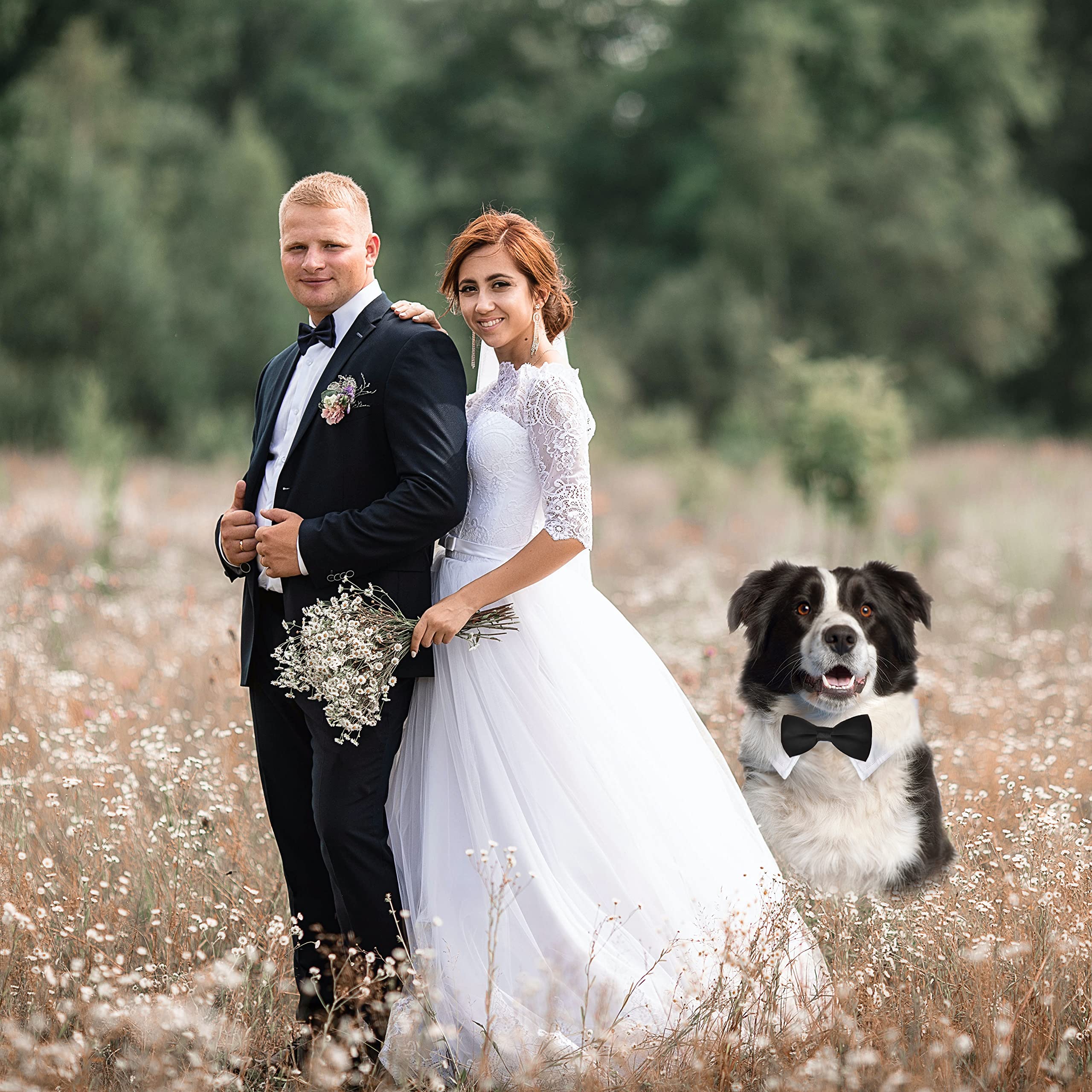 Koolmox Extra Large Dog Tuxedo Collar & Bow Tie Set, Adjustable 22.8'' Black Tux for Cats & Dogs, Wedding Attire & Grooming Costumes