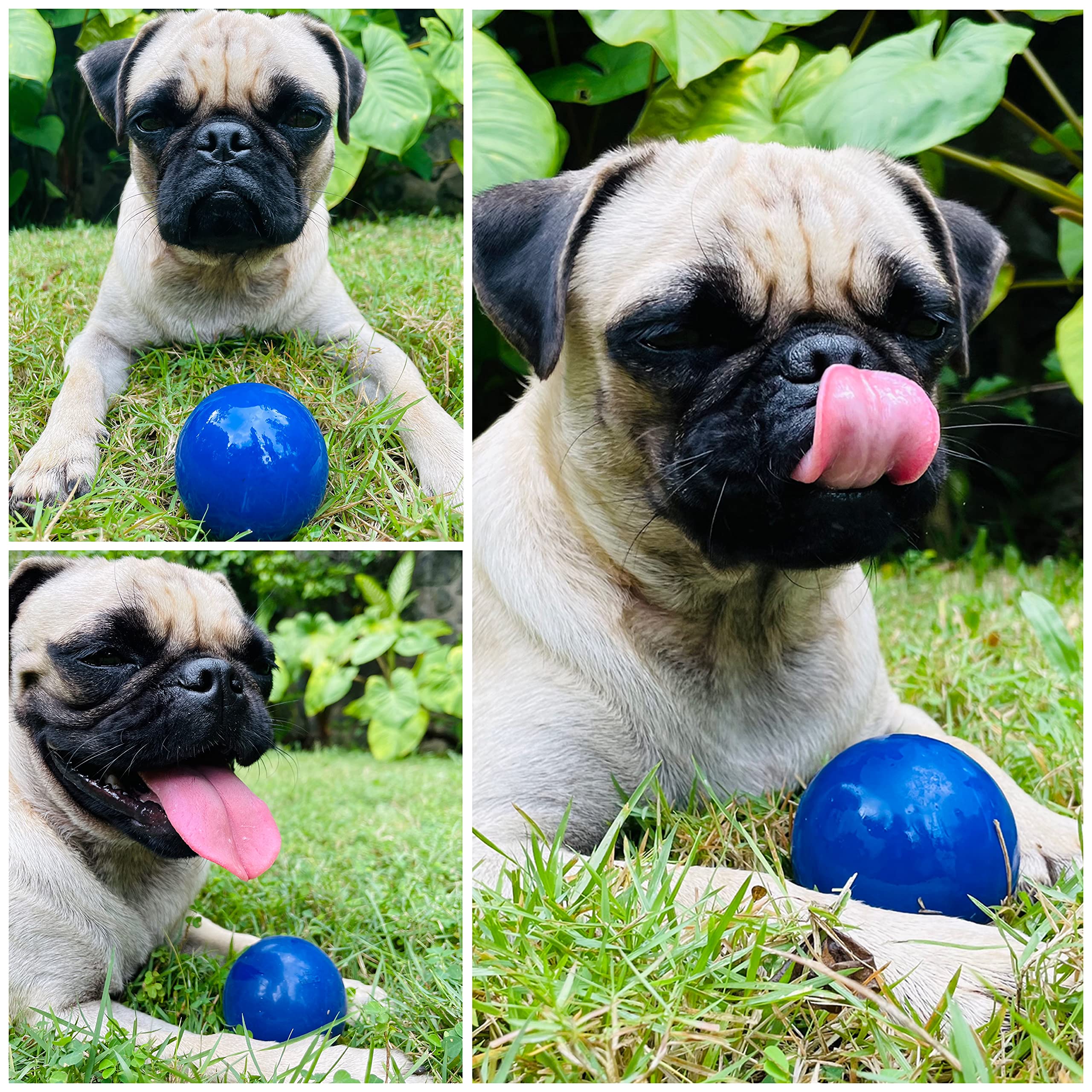 Superchewy Tough Dog Ball Toy | Lifetime Replacement Guarantee | Strong Natural Rubber | Great Dog Fetch Toy | Chew Toy For Dogs