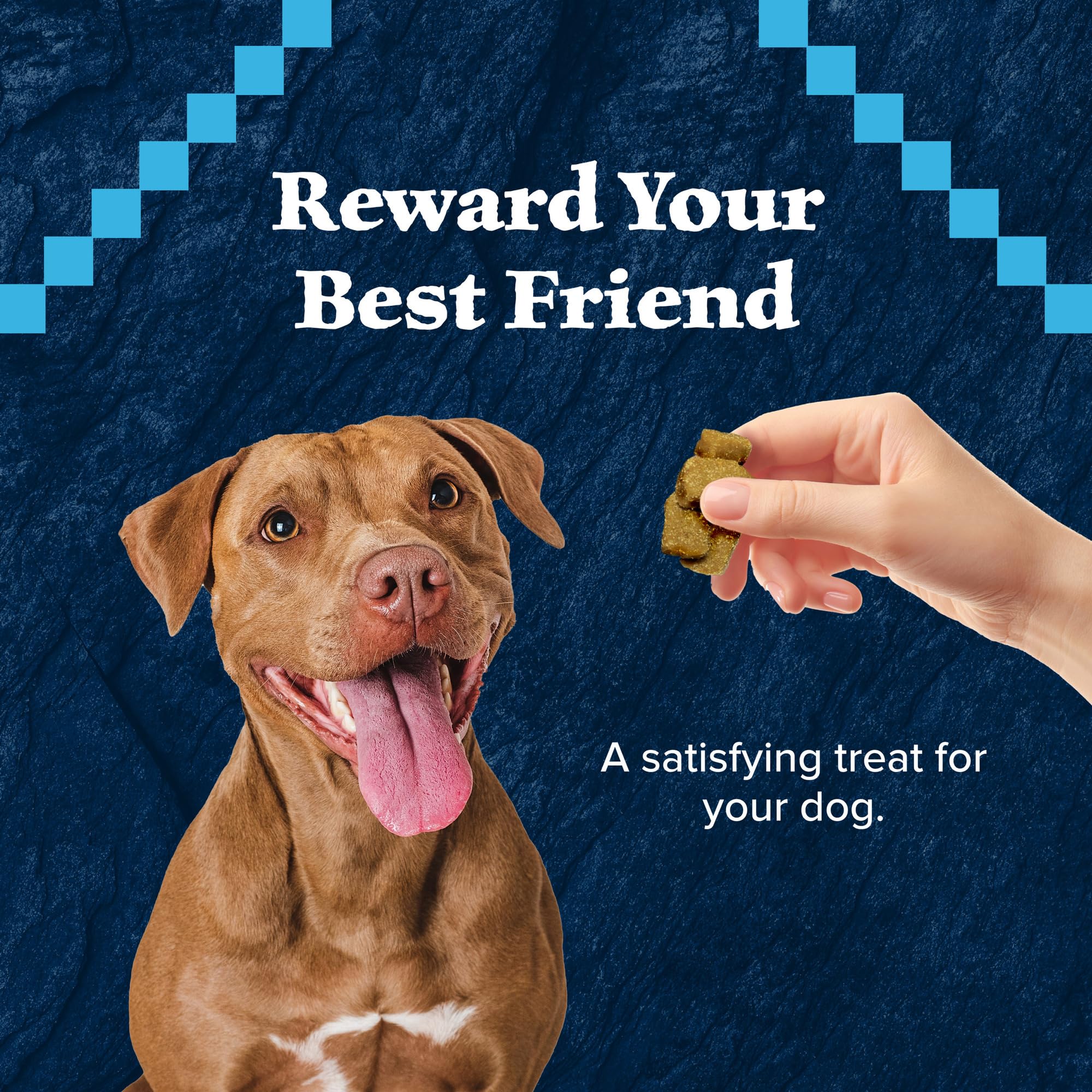 Blue Buffalo Wilderness Trail Treats Wild Bits High Protein Grain Free Soft-Moist Training Dog Treats, Chicken Recipe 10-oz bag