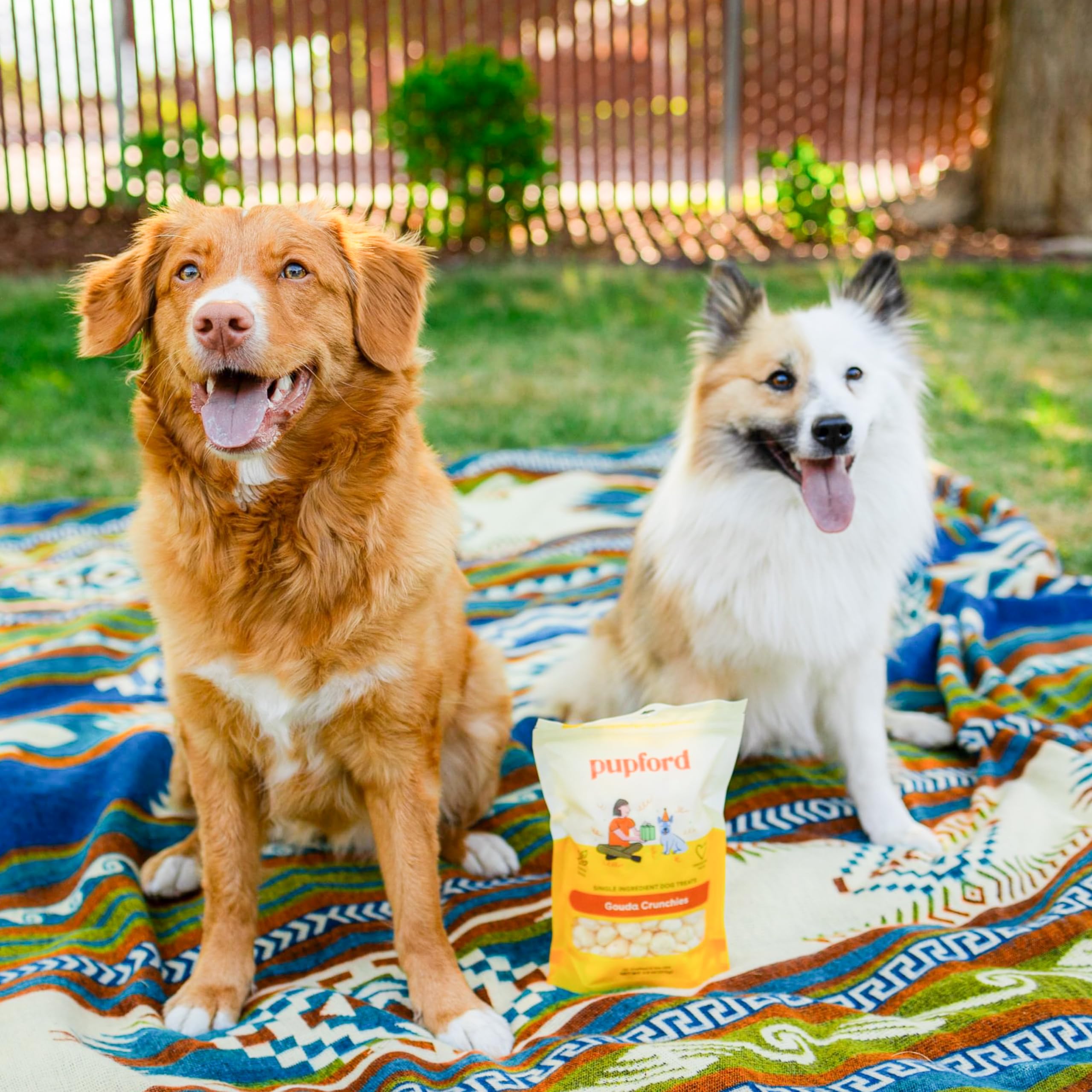 Pupford Cheese Crunchies, All-Natural, Healthy, Freeze Dried, Single-Ingredient Treat for Dogs & Puppies (Gouda, 7.50 oz)