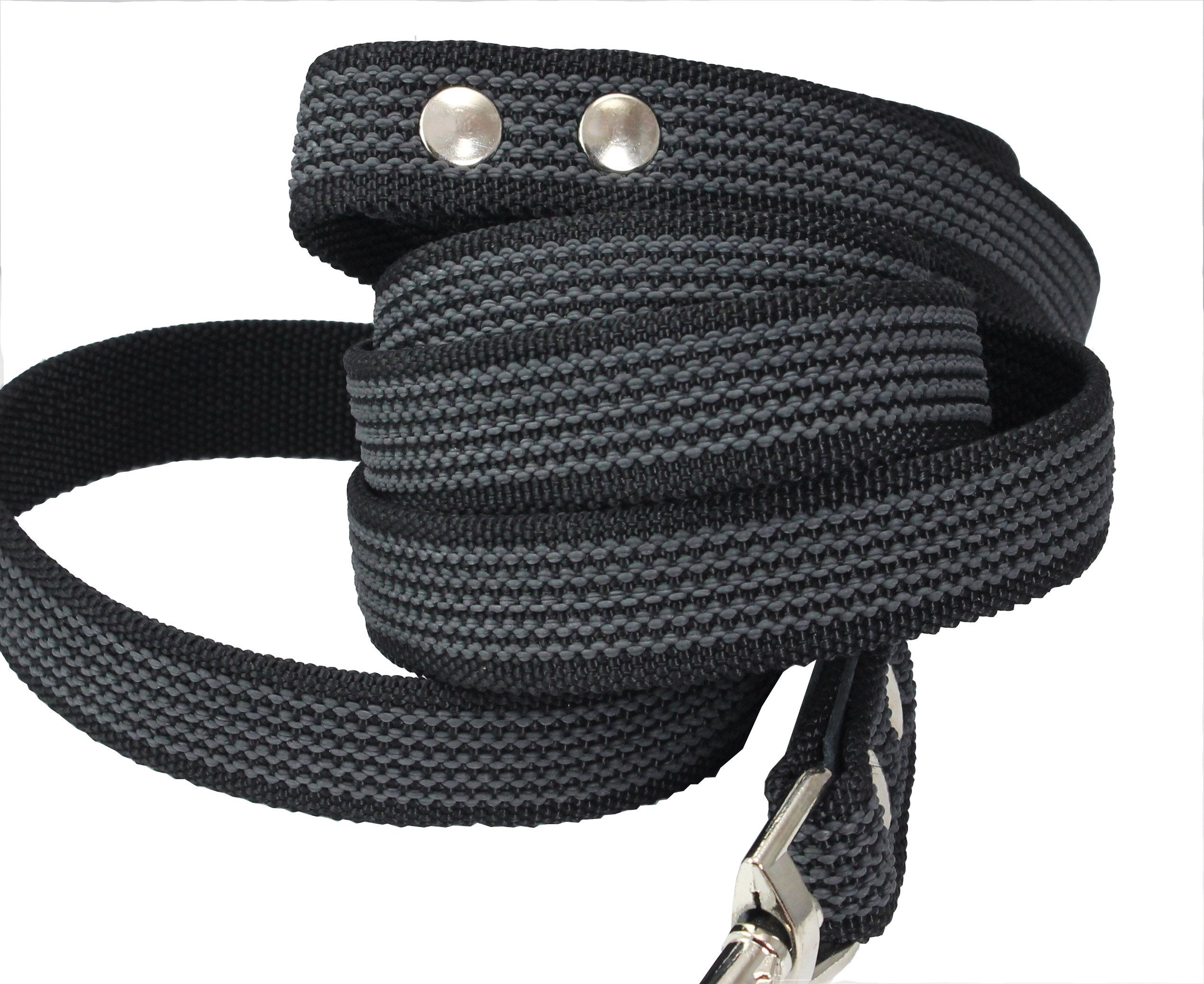 6Ft Latex Enforced Dog Leash (Large (1' Wide))