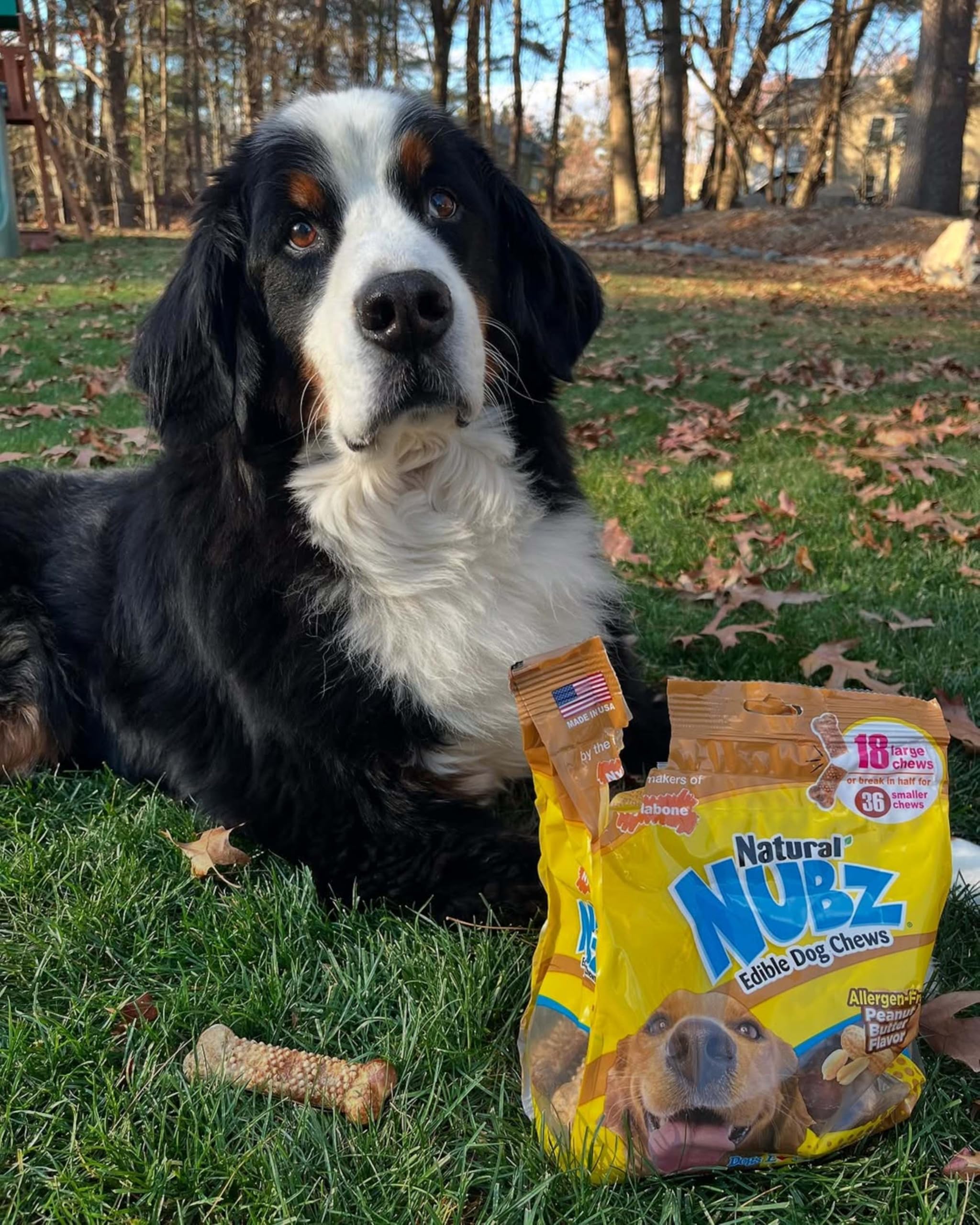 Nylabone Nubz Peanut Butter Dog Chew Treats - Breath Freshener, Dental Chews for Large Dogs, 2.1 lb, Made in USA (18 Count)