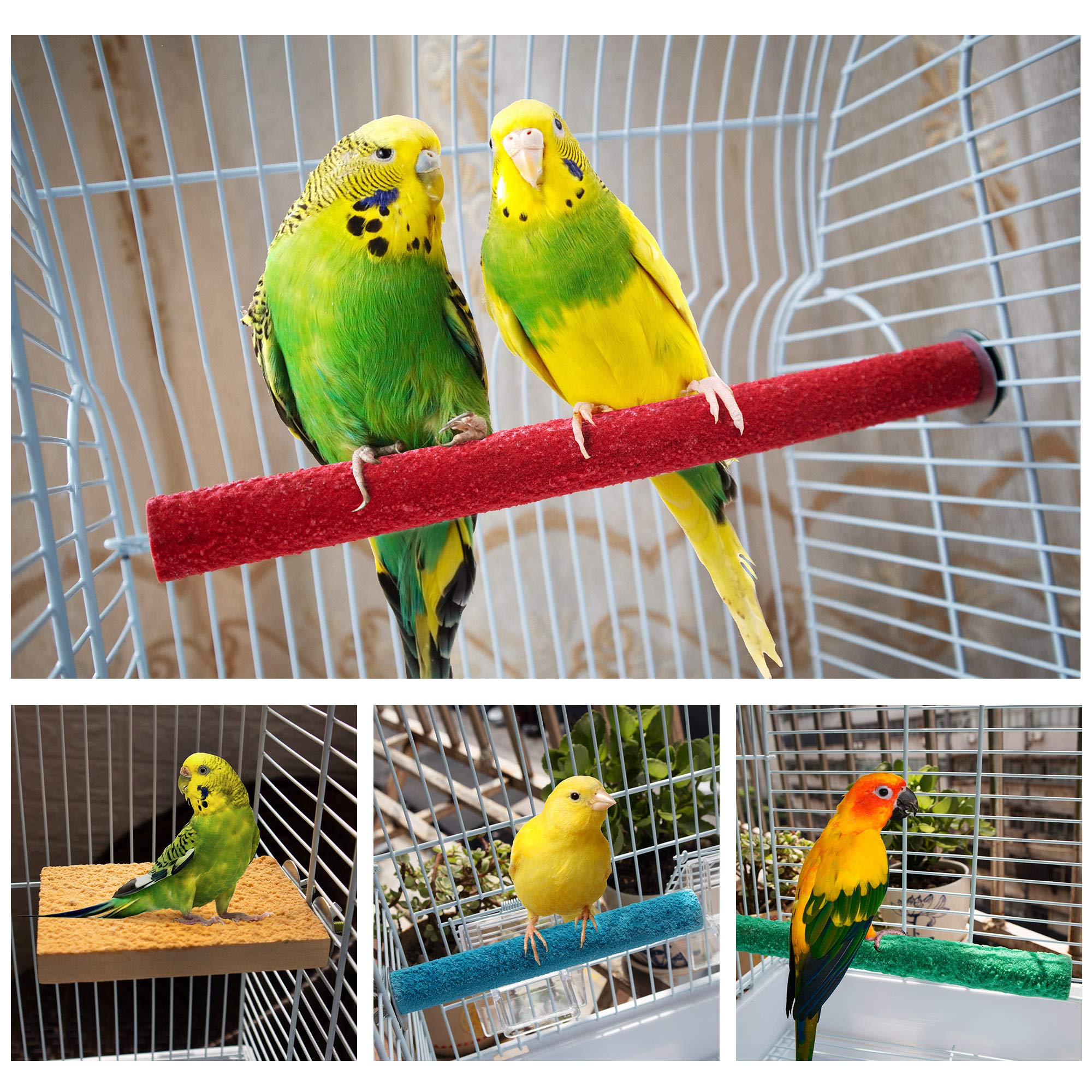 Gagiland Bird Perches For Conure Stand Natural Wood Platform Bird Nail Trimming Perch Paw Grinding Stick For Parakeet Cockatiels Parrot Perch Bird Cage Accessories