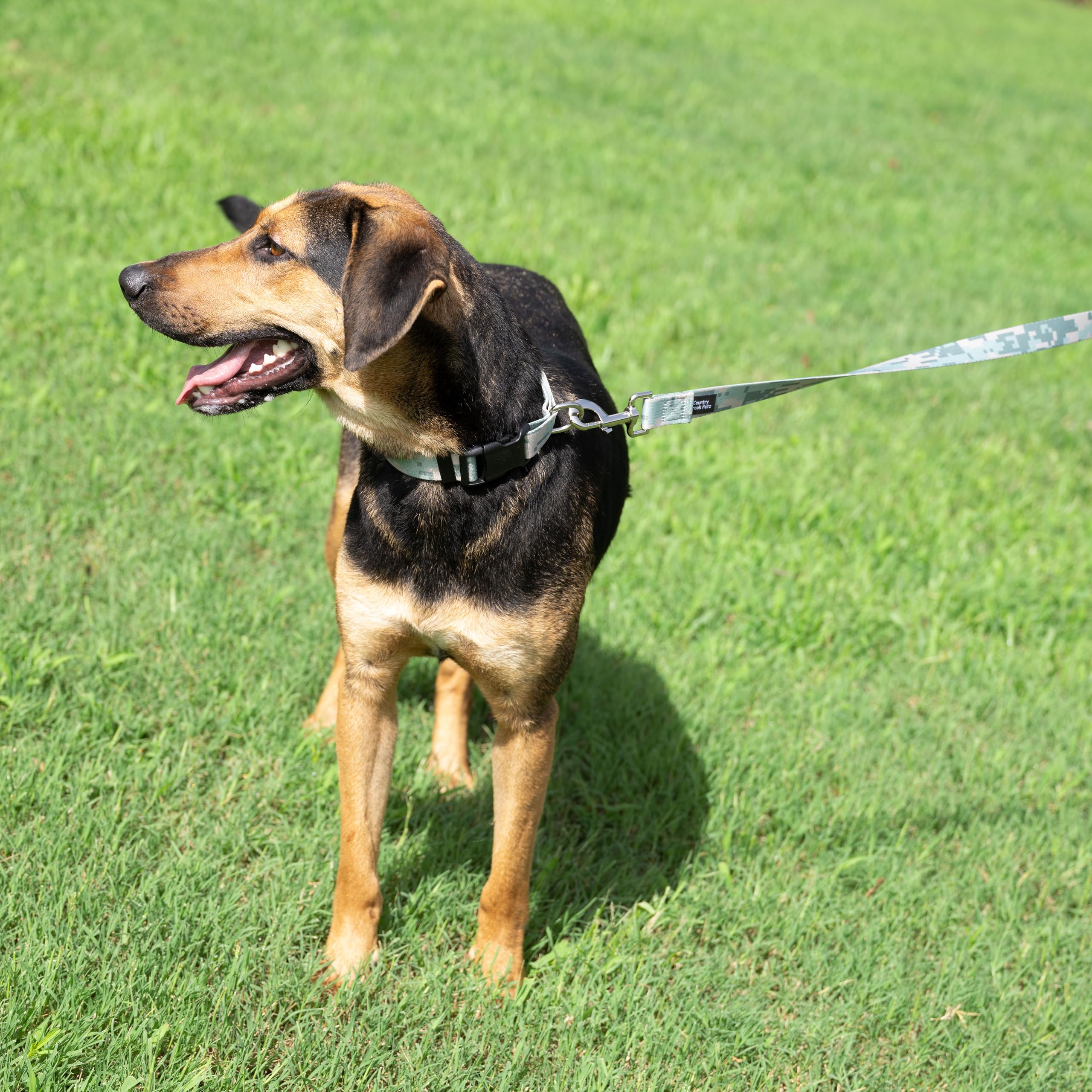 Country Brook Petz - Digital Camo Deluxe Dog Collar Limited Edition - Made in The U.S.A. - Camouflage Collection Featuring Rugge