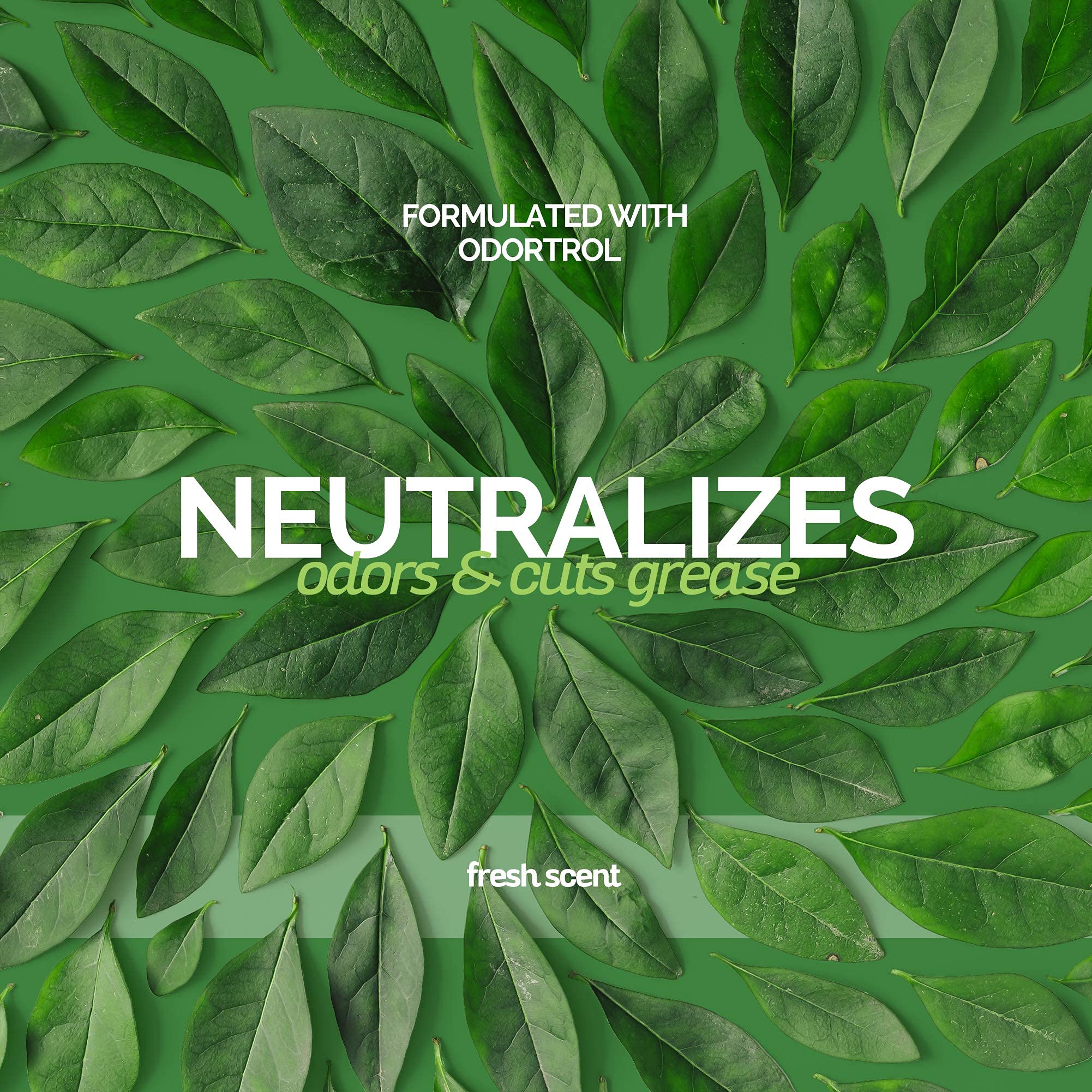 Bark 2 Basics Deodorizing Dog Shampoo, 1 Gallon | Powerful Odor Neutralizer Odortrol, Naturally Derived Ingredients, Eliminates Smelly Pet Odors, Powerful Deodorizing Formula, Professional Grade