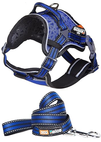 Doghelios 'Journey Wander' Chest Compressive Sporty Adjustable Travel Pet Dog Harness And Leash Combination, Small, Blue