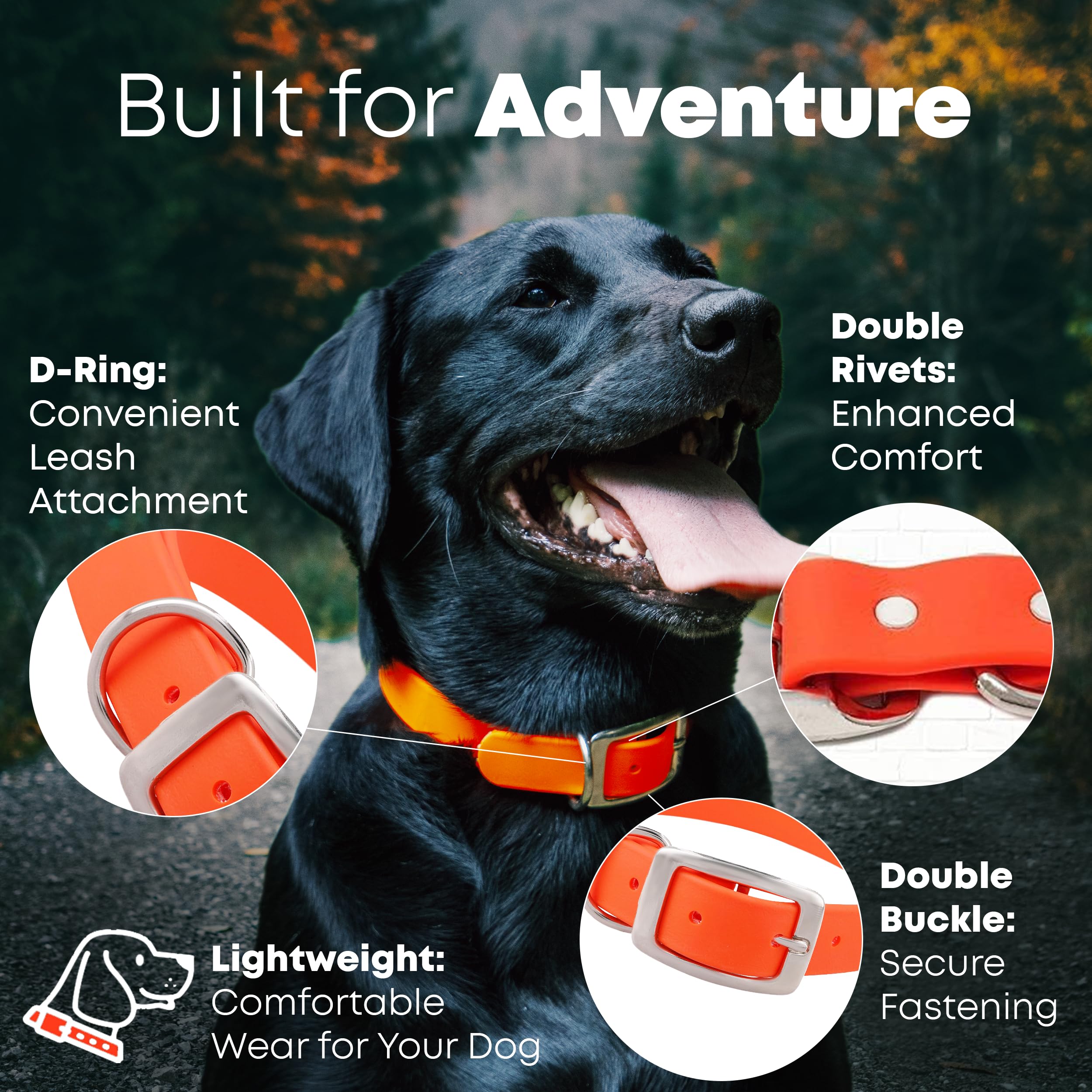 Regal Dog Products Large Orange Waterproof Dog Collar and Leash Set | Heavy Duty Double Buckle & D Ring - 5'ft Leash | Adjustabl