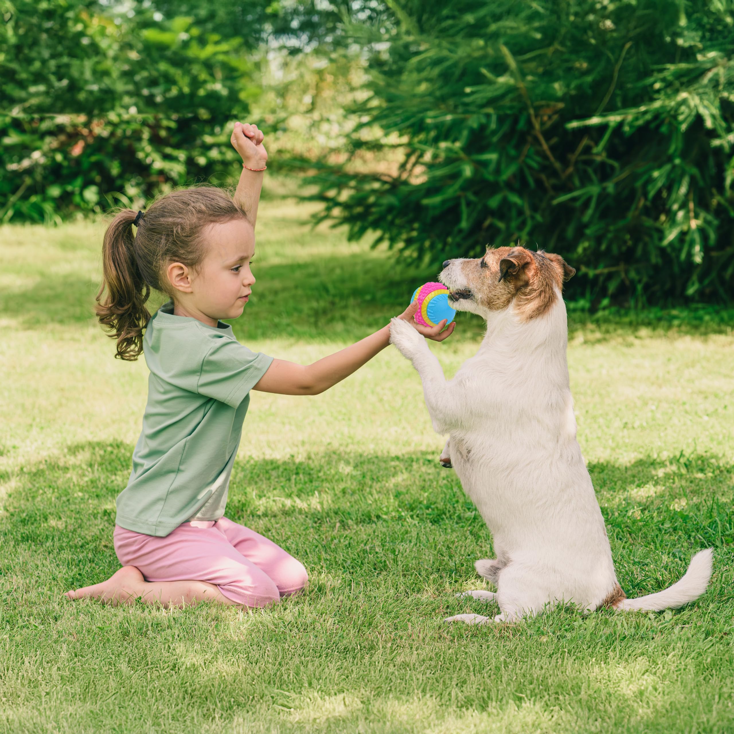 Spot Sensory Ball For Soft Chewers - Stimulates All 5 Senses, Bell & Squeaker Sounds, Raised Nubs Clean Teeth, High Contrast Fetch Toy, Beef Scented, Durable Tpr Rubber Ball, 2.5-Inch
