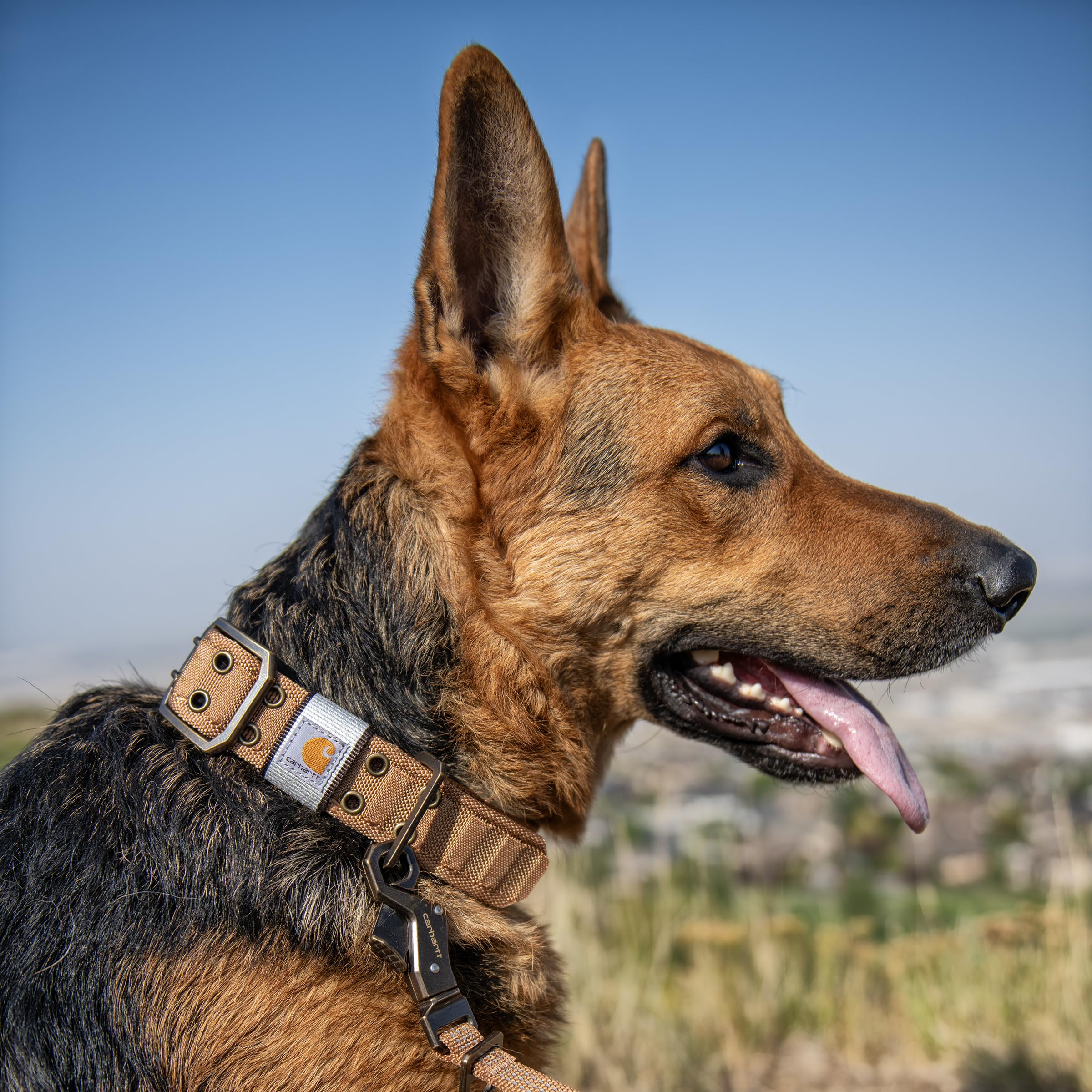 Carhartt Pet Fully Adjustable Wide Webbing Collar For Dogs, Carhartt Brown, Large