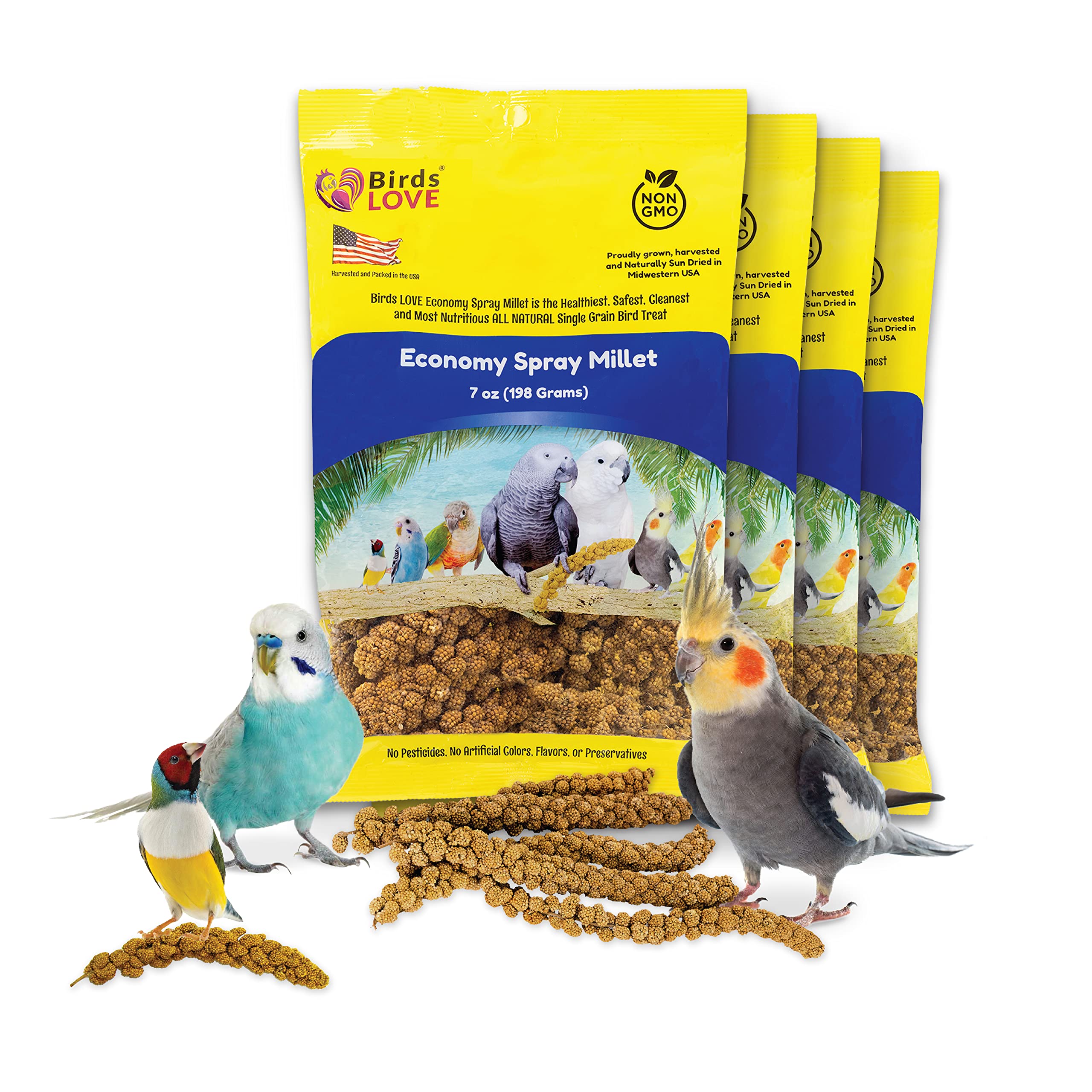 Birds LOVE Economy Special Spray Millet - GMO-Free (No Stems Only Edible Tops) for Birds Cockatiel, Lovebird, Parakeet, Finch, C