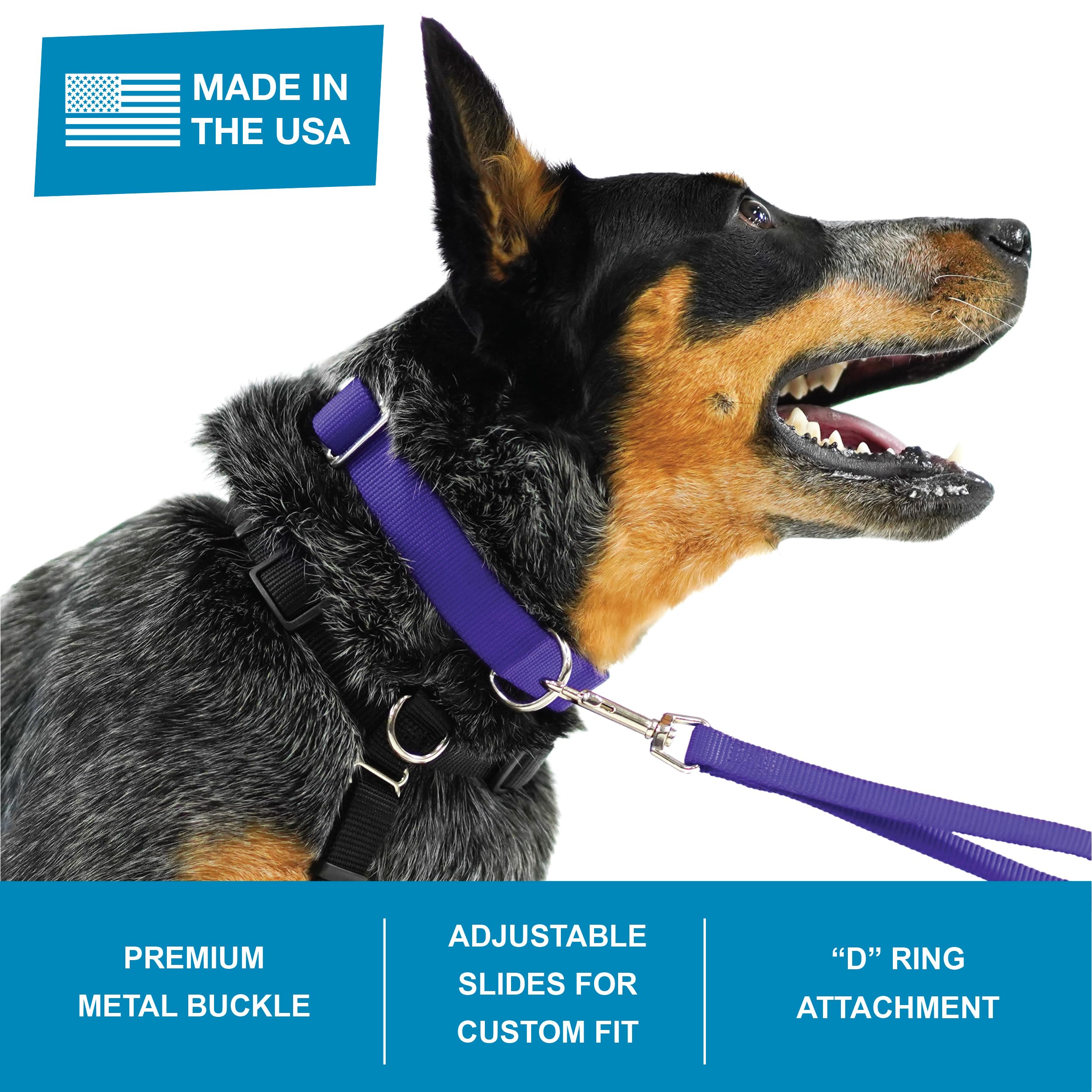 Blue-9 Secure Pro Dog Collar For Obedience, Training, And Identity, Durable And Adjustable Collar With Metal Buckle Dogs, Made I